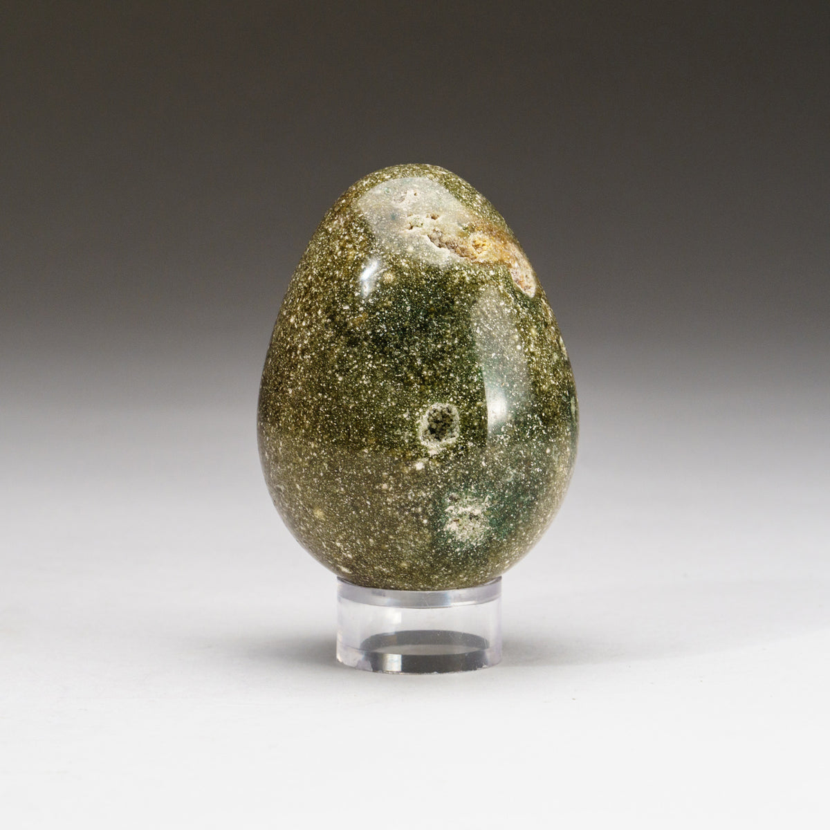 Ocean Jasper Egg 203 Grams for Sale at Trusted Astro Gallery of Gems