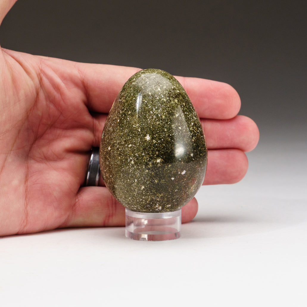 Ocean Jasper Egg 203 Grams for Sale at Trusted Astro Gallery of Gems