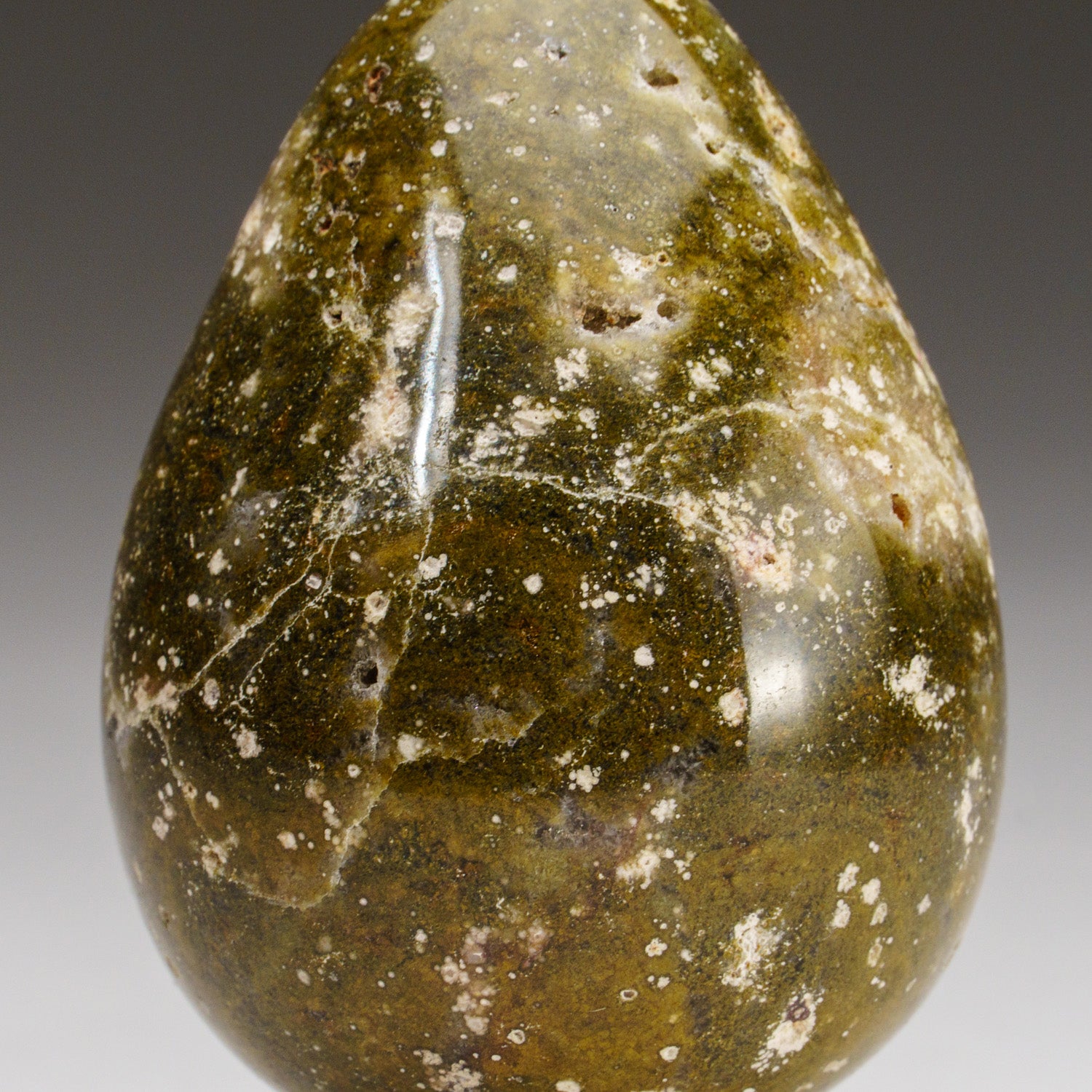 Genuine Polished Ocean Jasper Egg (203 grams)