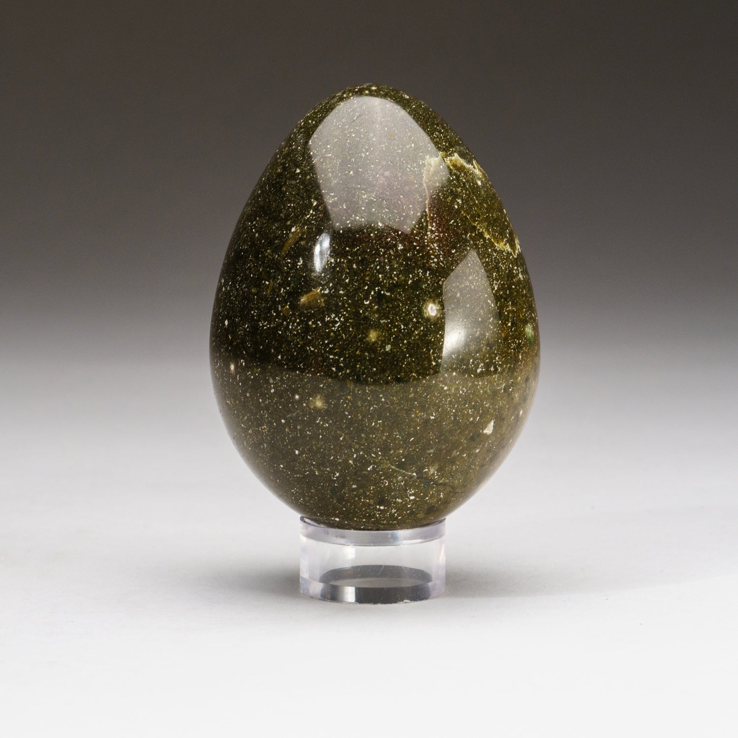 Genuine Polished Ocean Jasper Egg (323.6 grams)