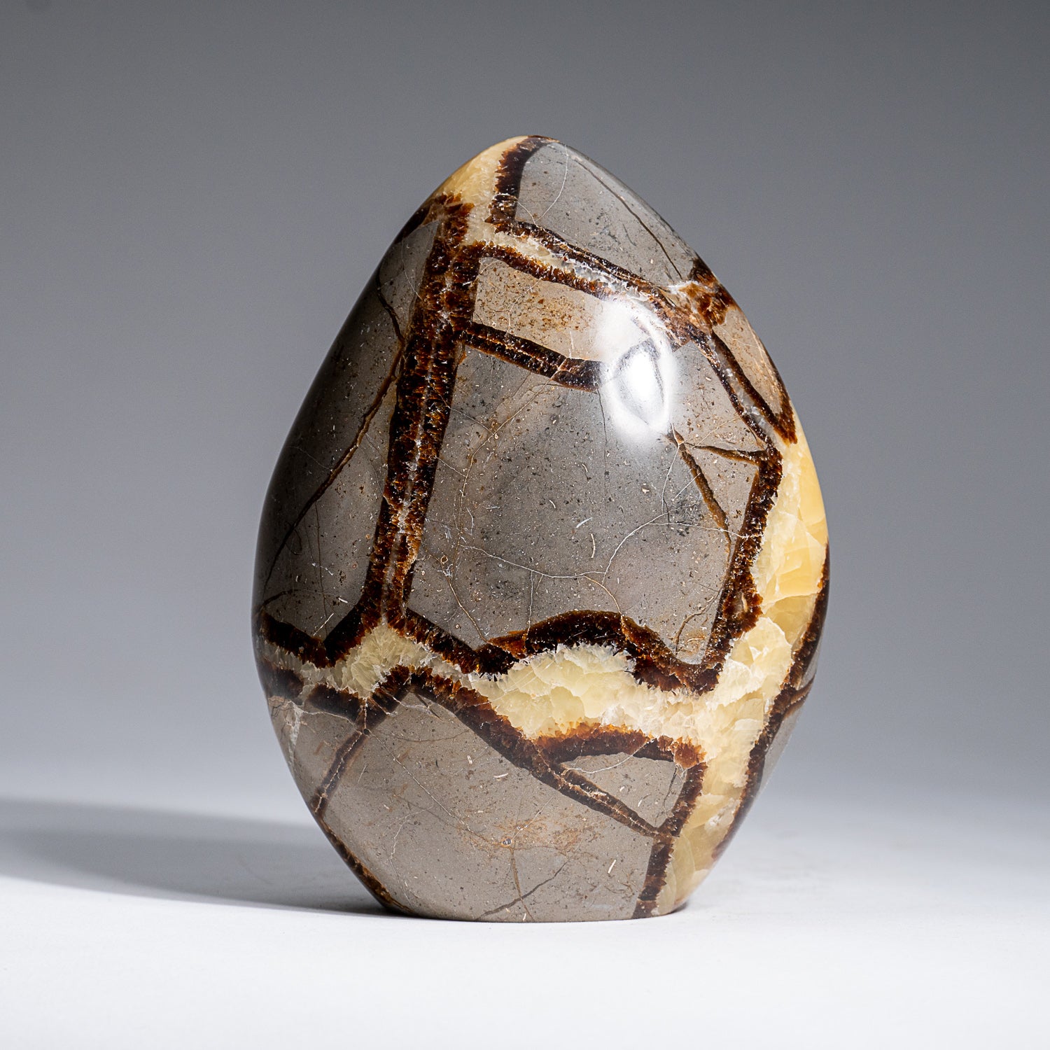 Polished Septarian Freeform from Madagascar (1.7 lbs)