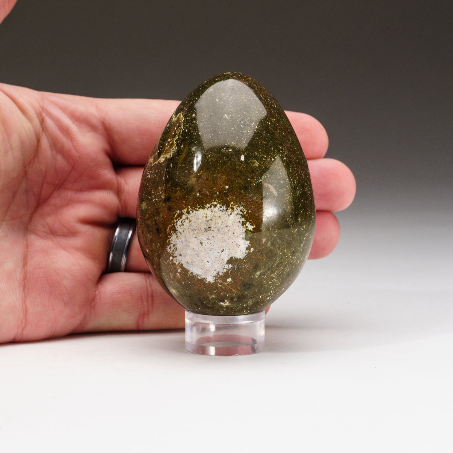 Genuine Polished Ocean Jasper Egg (323.6 grams)