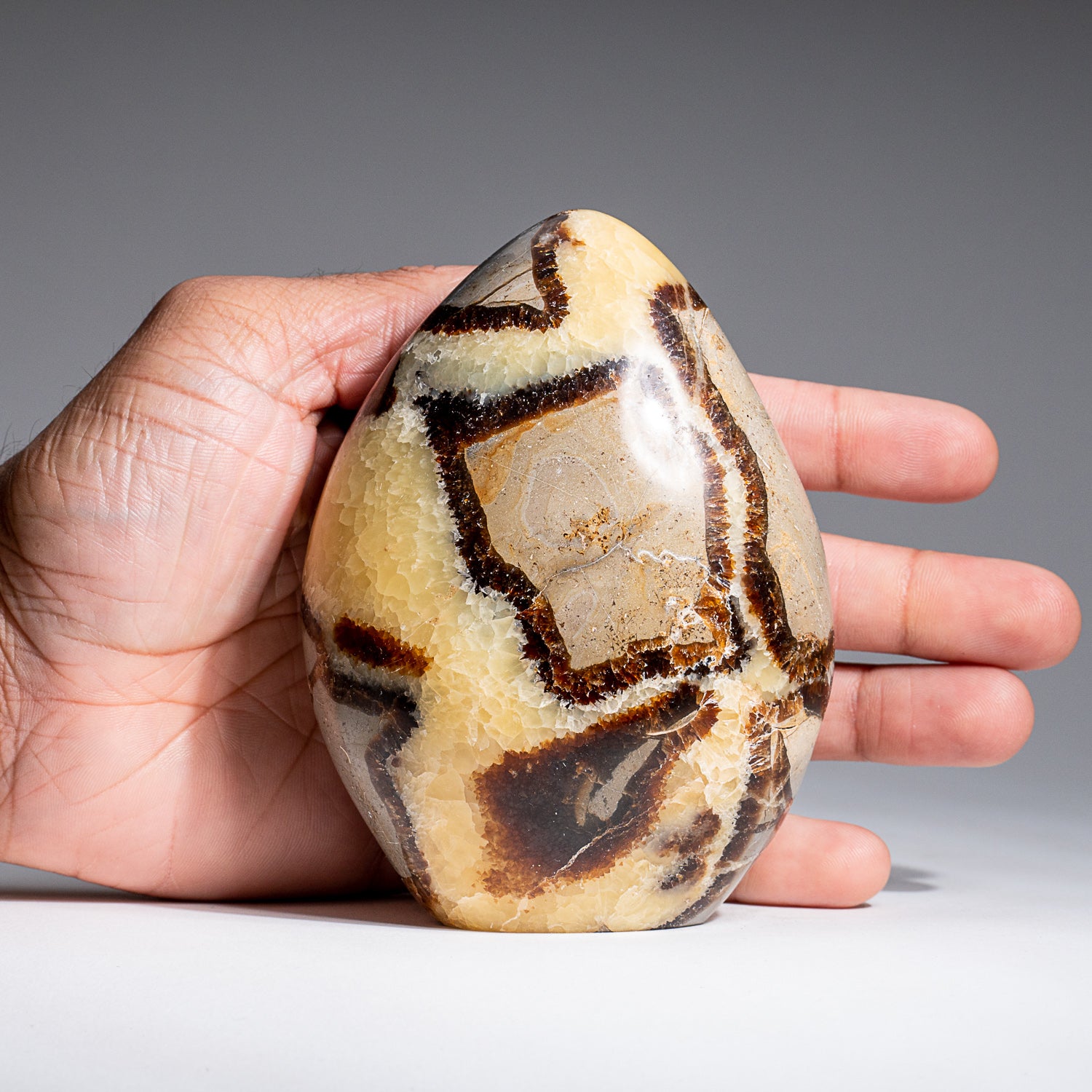 Polished Septarian Freeform from Madagascar (1.7 lbs)