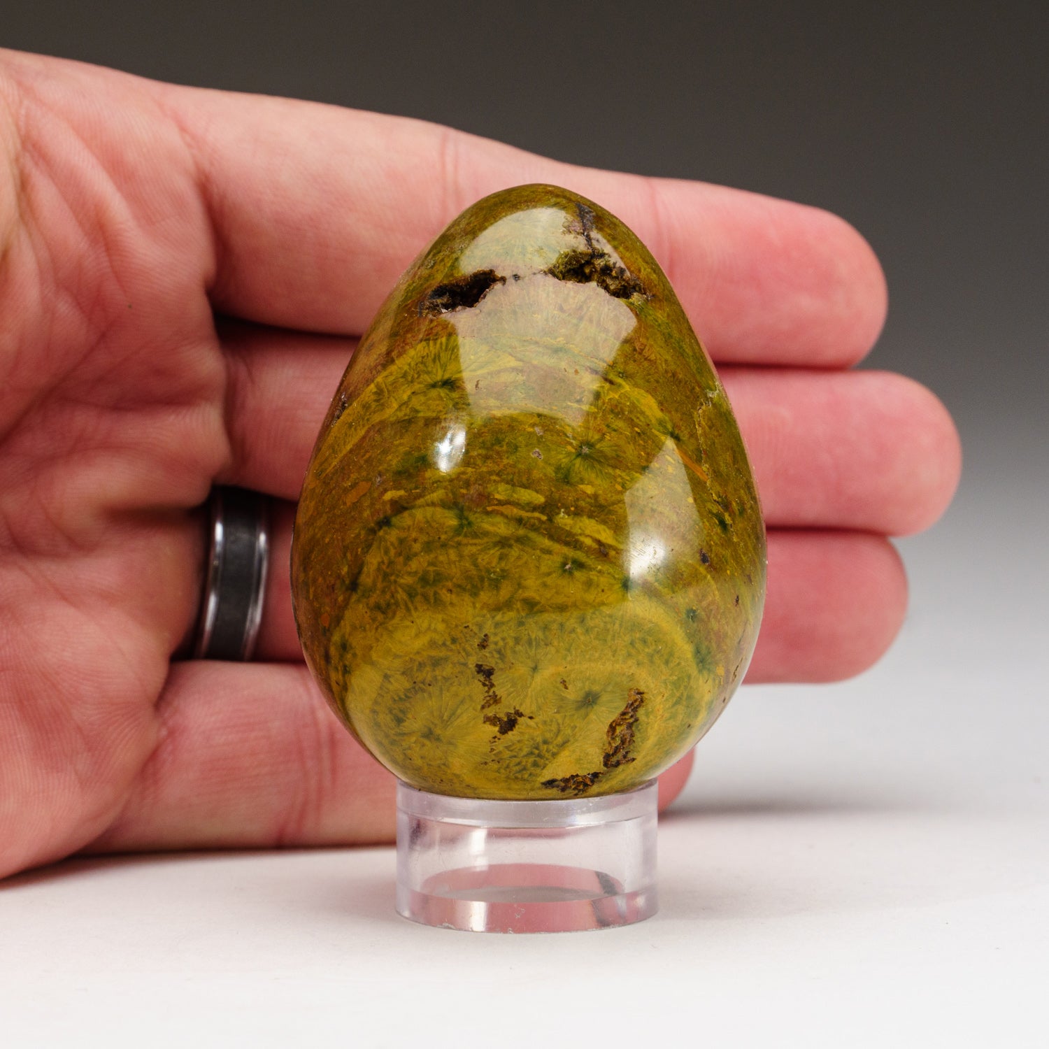 Genuine Polished Ocean Jasper Egg (164 grams)