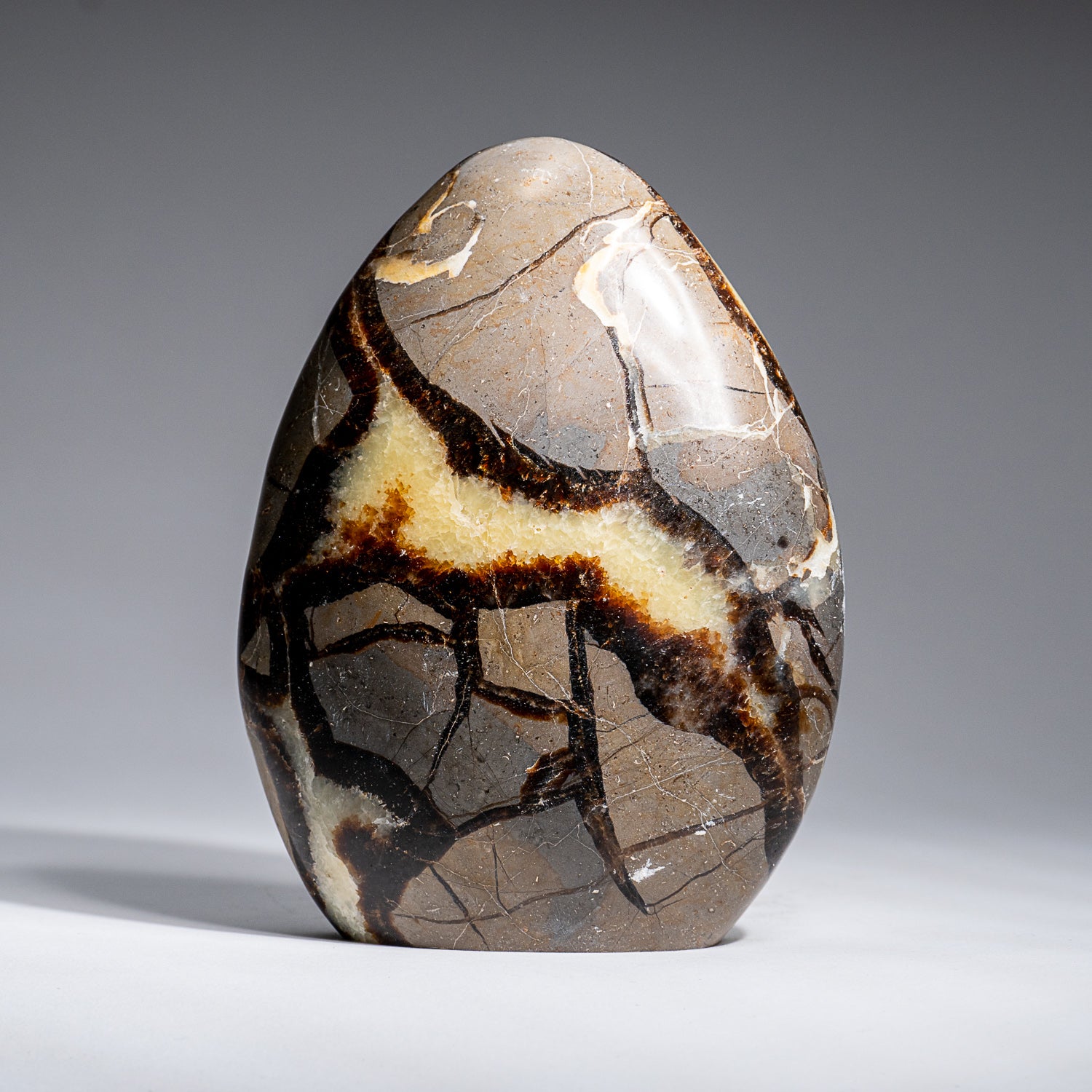 Polished Septarian Freeform from Madagascar (2.1 lbs)