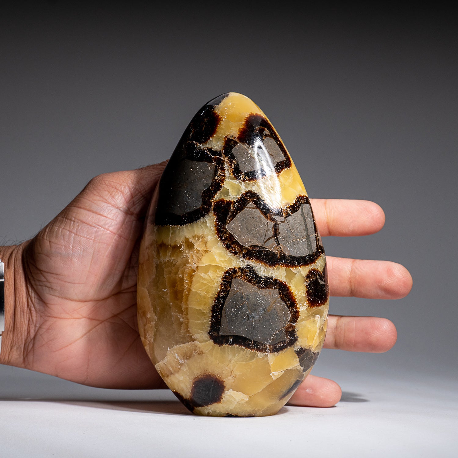 Polished Septarian Freeform from Madagascar (2.7 lbs)