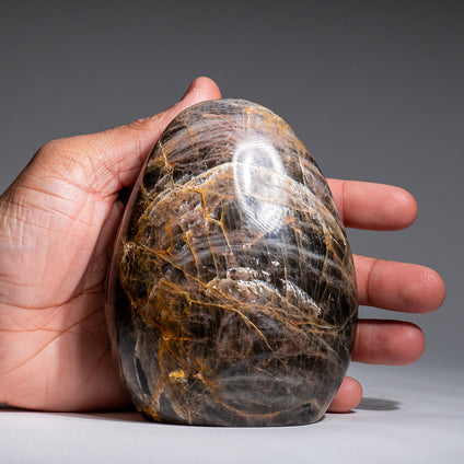 All - By Price: Highest to Lowest — Page 61 — Astro Gallery