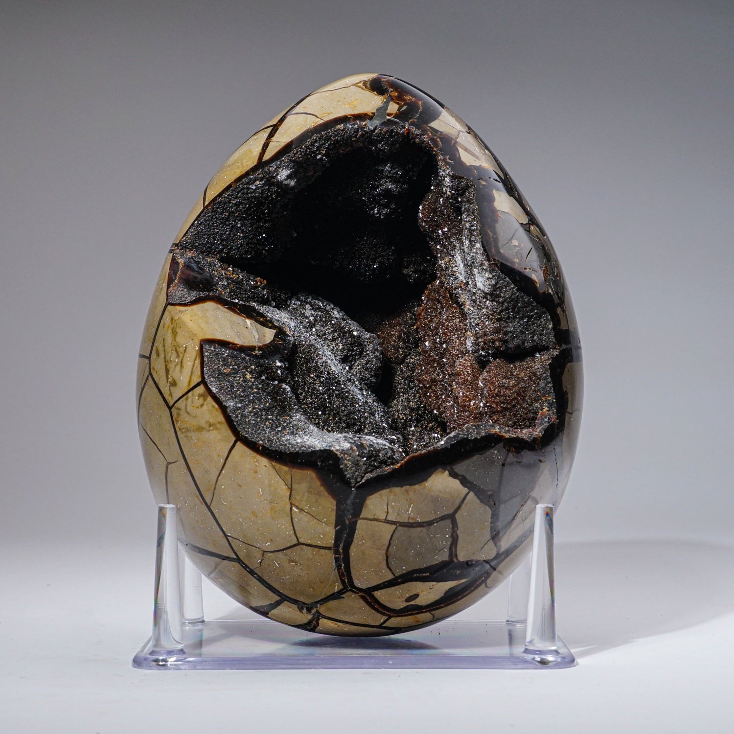 Large Septarian Druzy Geode Egg from Madagascar (16 lbs)