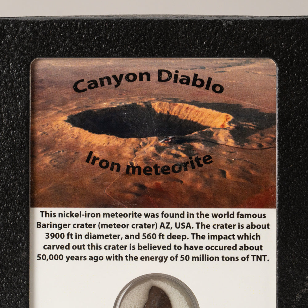 Genuine Canyon Diablo Iron Meteorite in Display Box