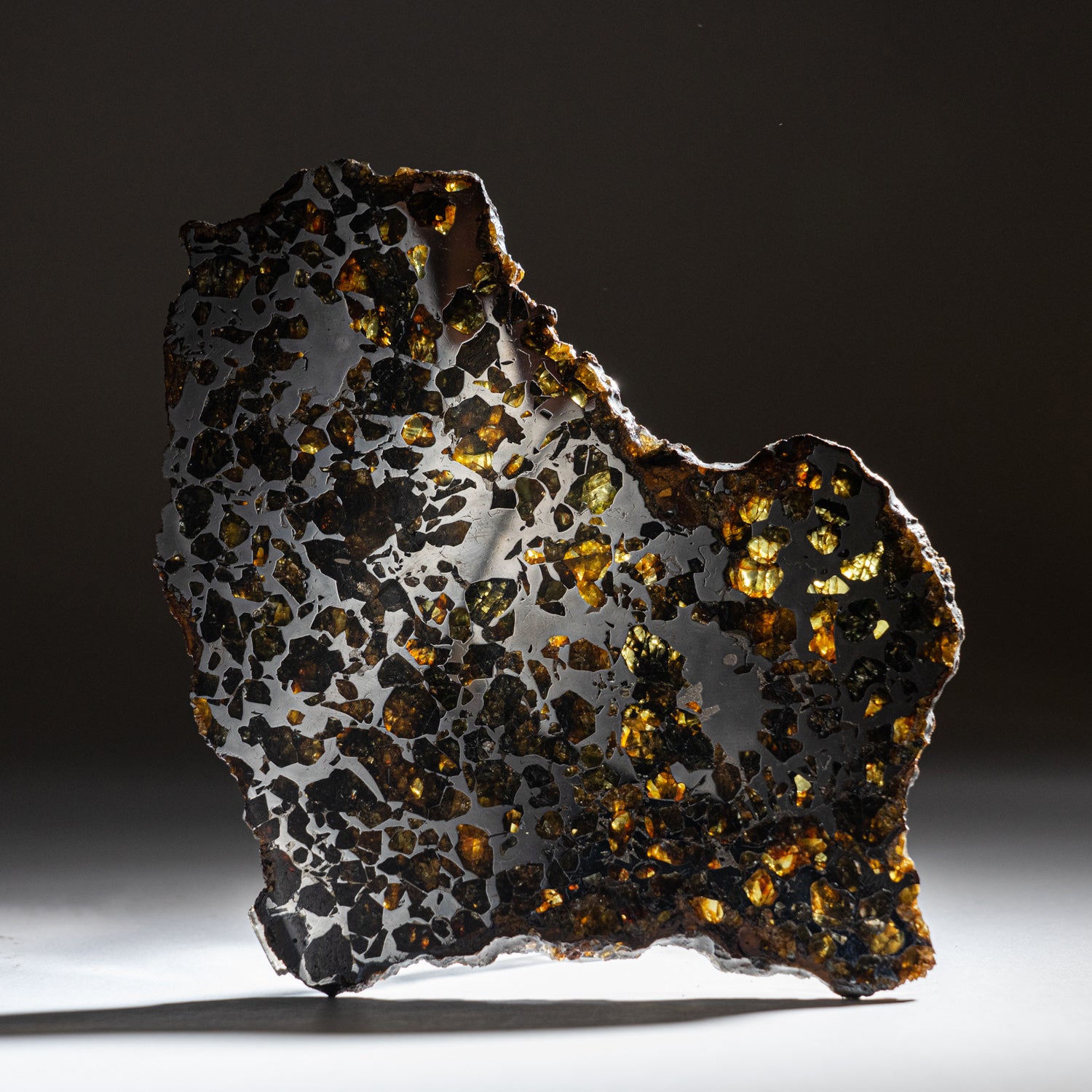 Genuine Natural Seymchan Pallasite Meteorite Slab (208.2 grams)