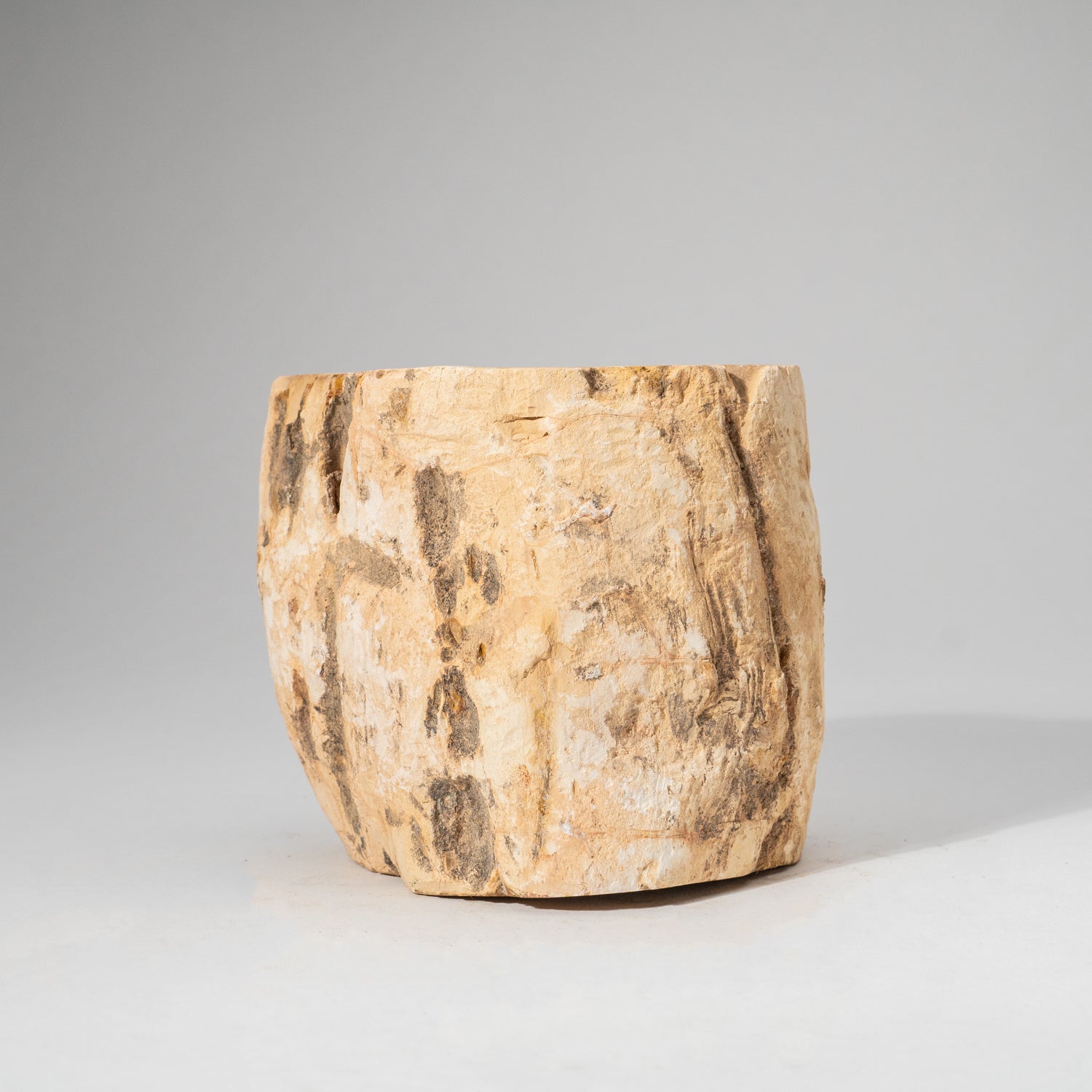 Natural Petrified Wood Log from Madagascar (3.2 lbs)