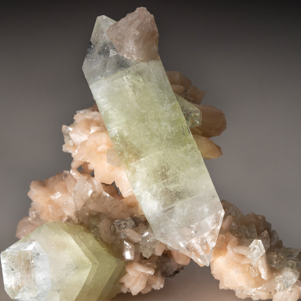 Gem Apophyllite From Pashan Hill Quarry, Poona District, Maharashtra, India