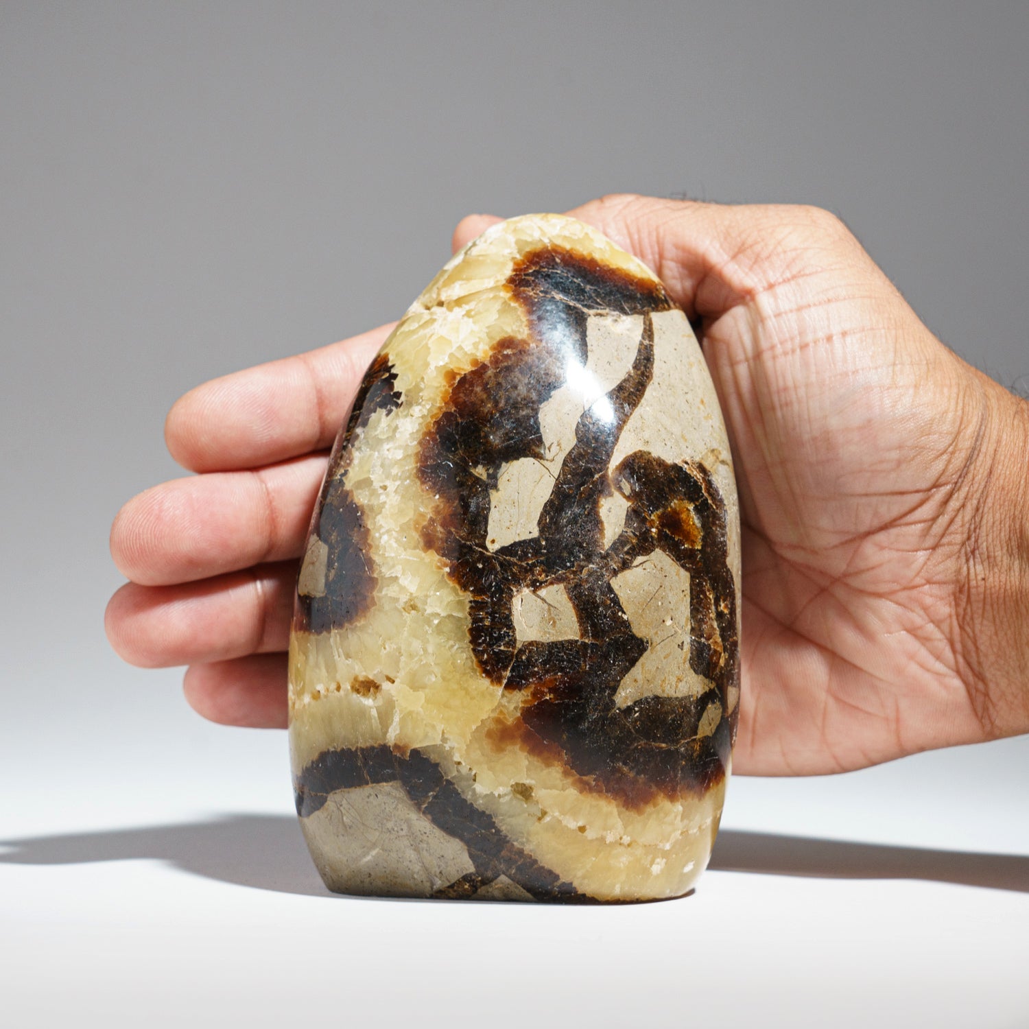 Polished Septarian Freeform from Madagascar (1.85 lbs)