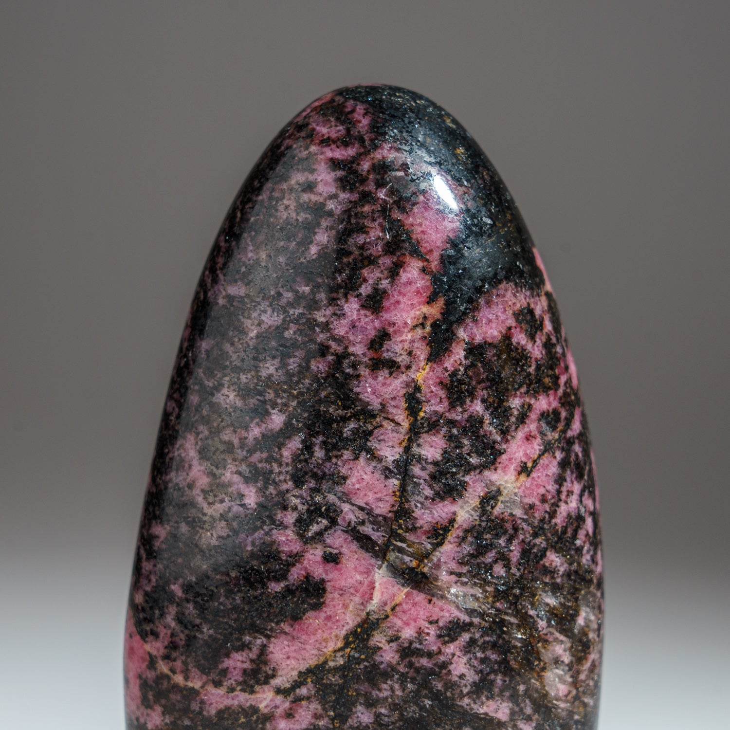 Polished Imperial Rhodonite Freeform from Madagascar (1.6 lbs)