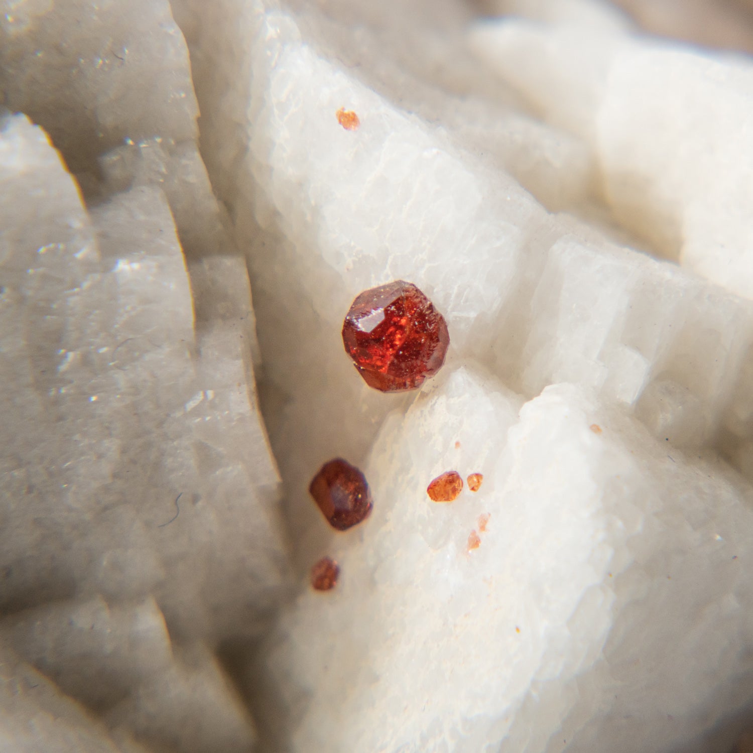 Red Garnet with Muscovite on Albite Matrix From Tongbei-Yunling District, Fujian Province, China