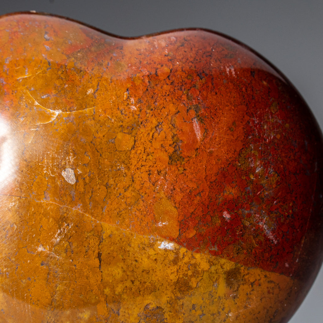 Genuine Petrified Wood (Medium) Heart from Madagascar — Astro