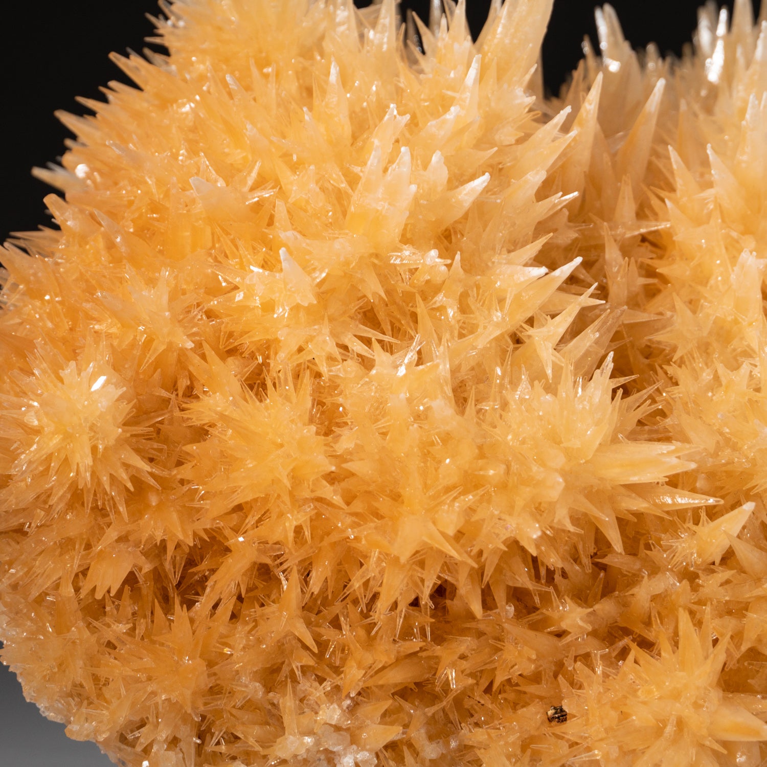 Calcite Cluster from Java, Indonesia