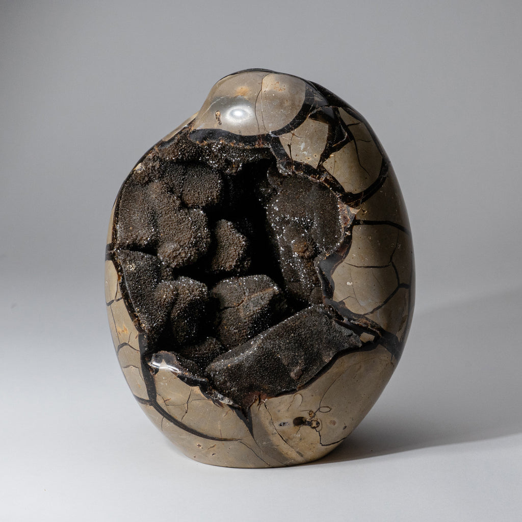 DSC08964_6e25eb92-0e8a-4f87-