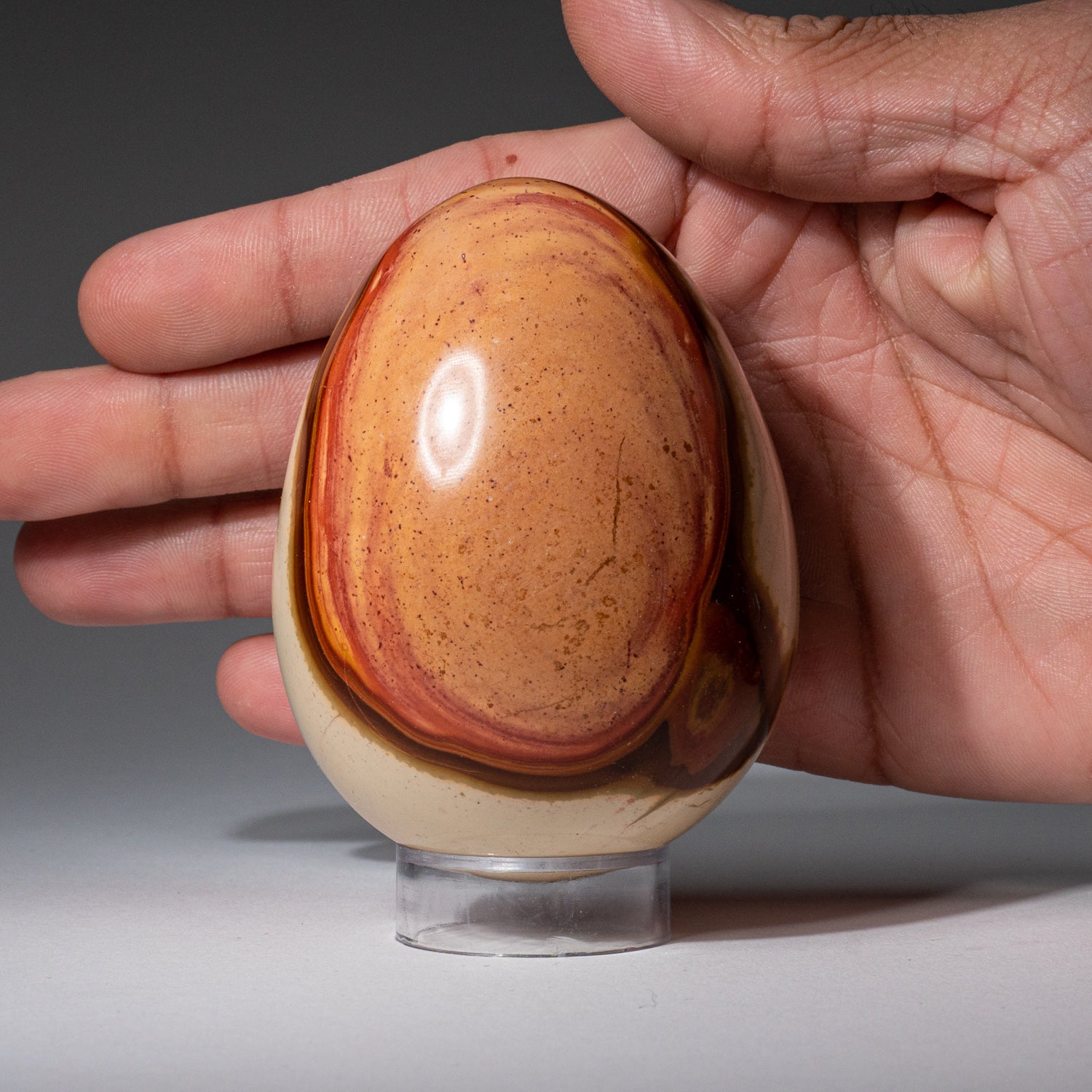 Genuine Polished Polychrome Egg from Madagascar (383.6 grams)