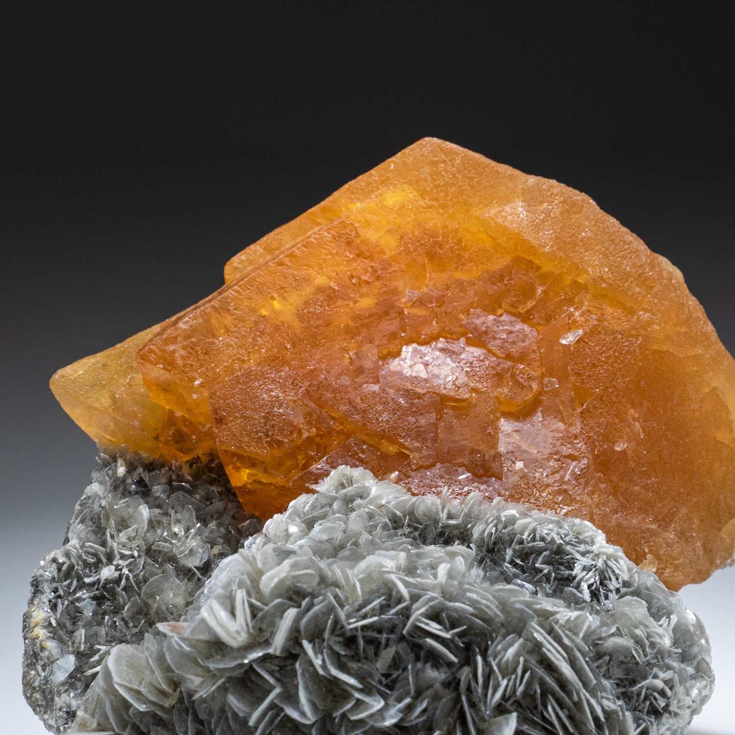 Scheelite from Xue Bao Ding Mine, Ping Wu, Sichuan Province, China