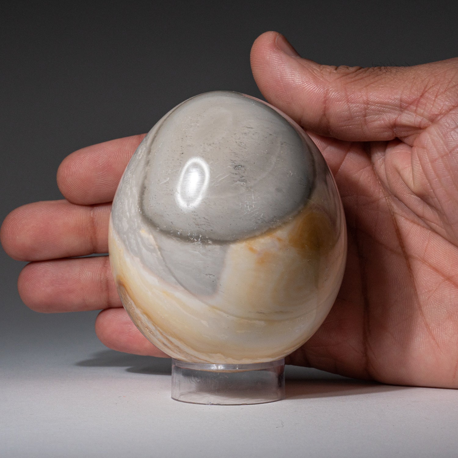 Genuine Polished Polychrome Egg from Madagascar (467.5 grams)