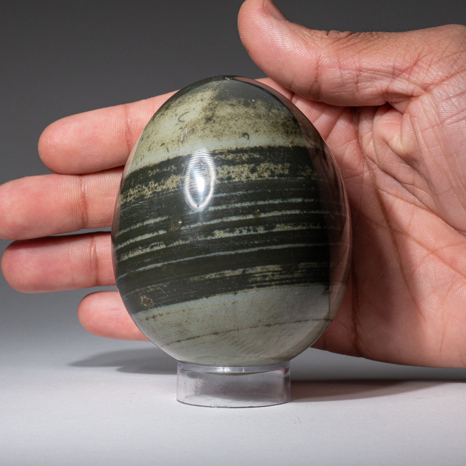 Genuine Polished Polychrome Egg from Madagascar (505.6 grams)