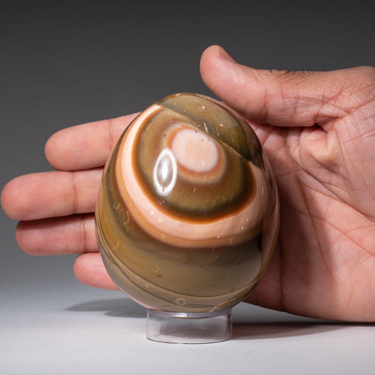 Genuine Polished Polychrome Egg from Madagascar (1.2 lbs)