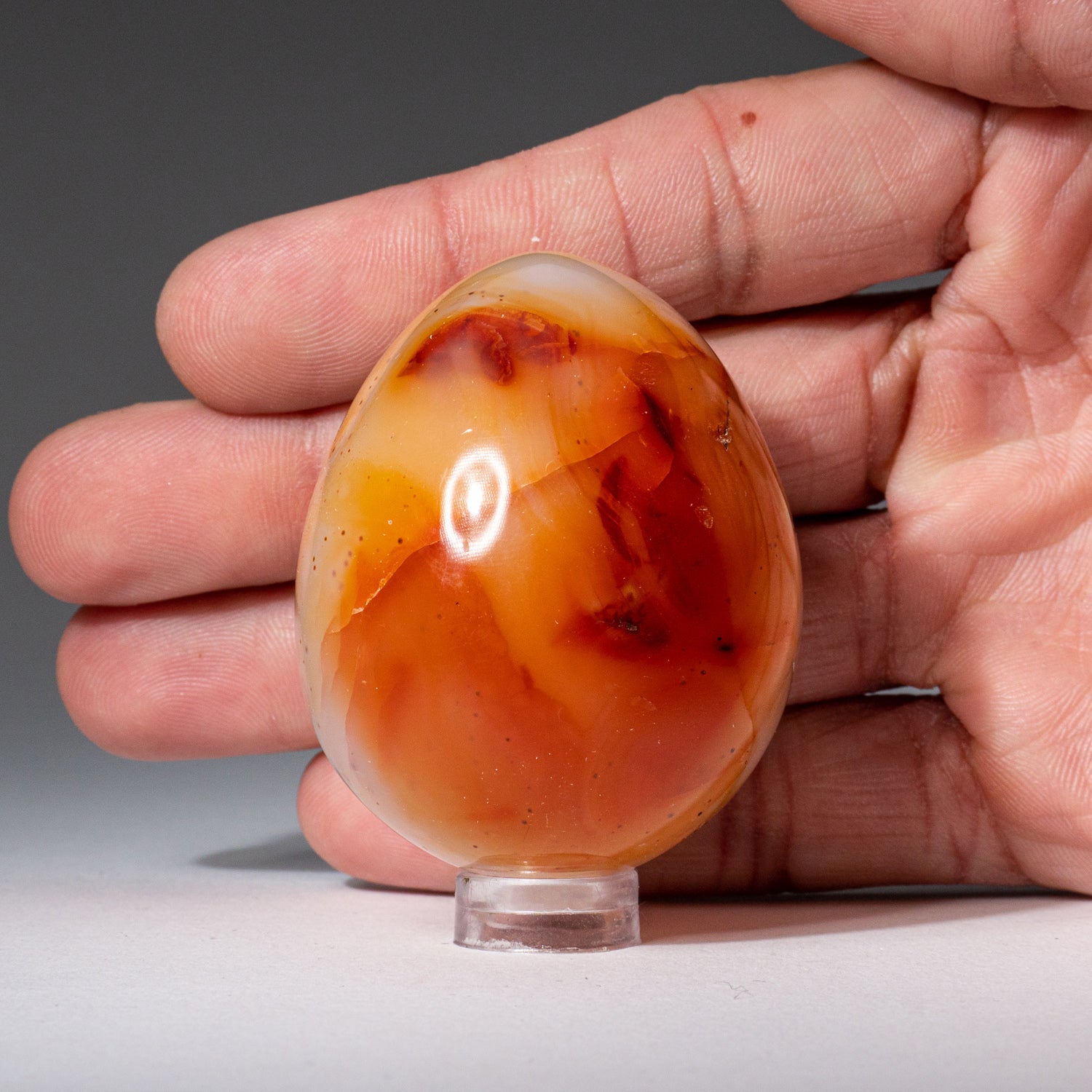 Genuine Carnelian Agate (Small) Egg from Madagascar
