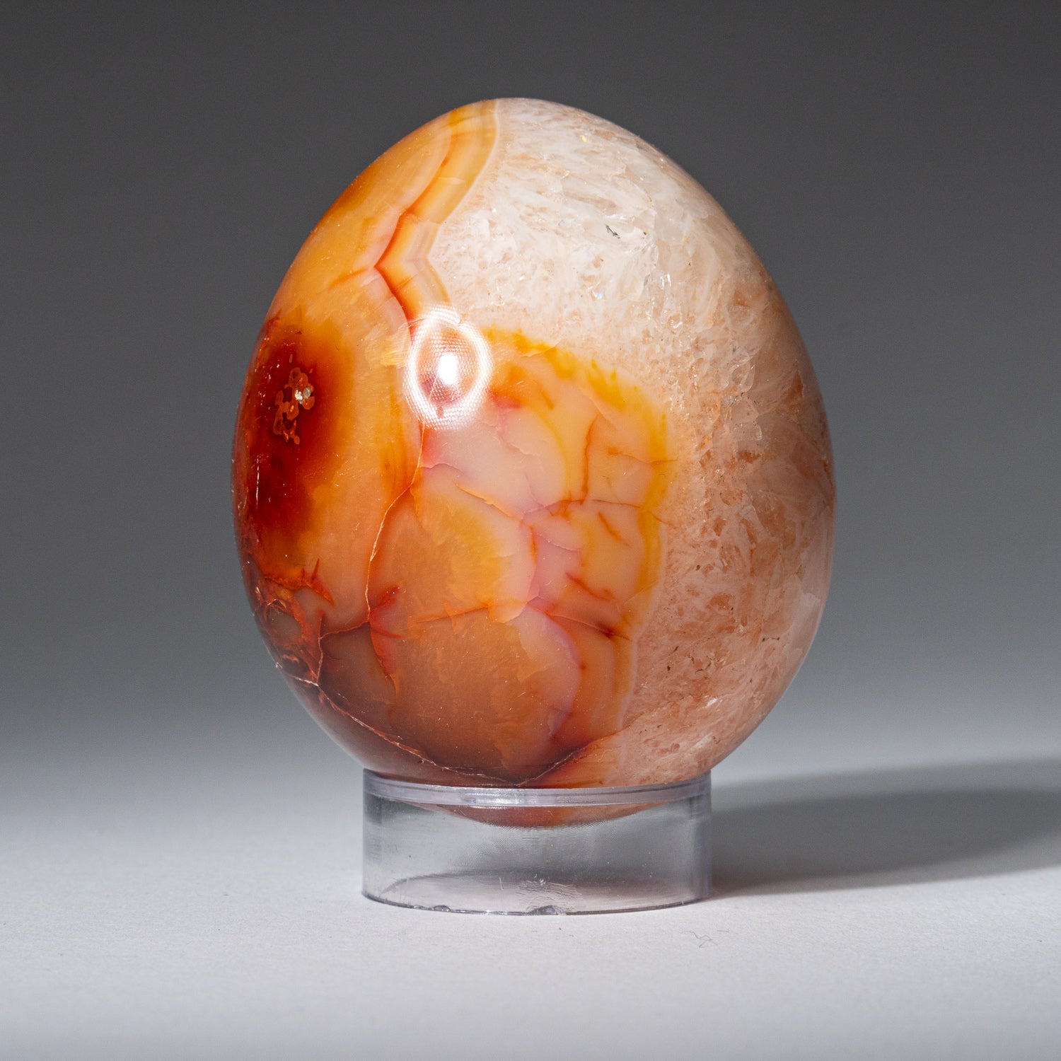 Genuine Carnelian Agate (Medium) Egg from Madagascar