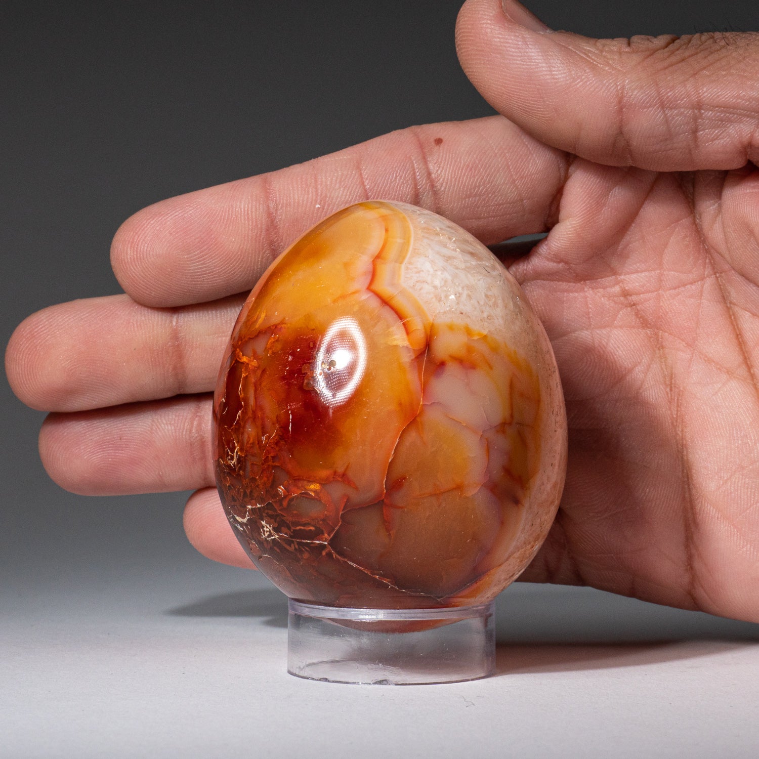 Genuine Carnelian Agate (Medium) Egg from Madagascar