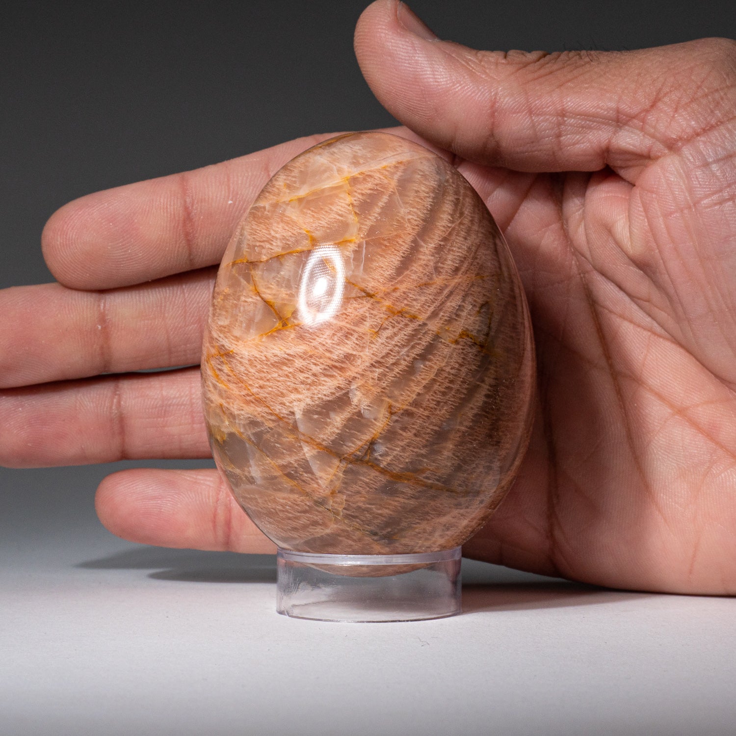 Genuine Polished Peach Moonstone (2") Egg from Madagascar