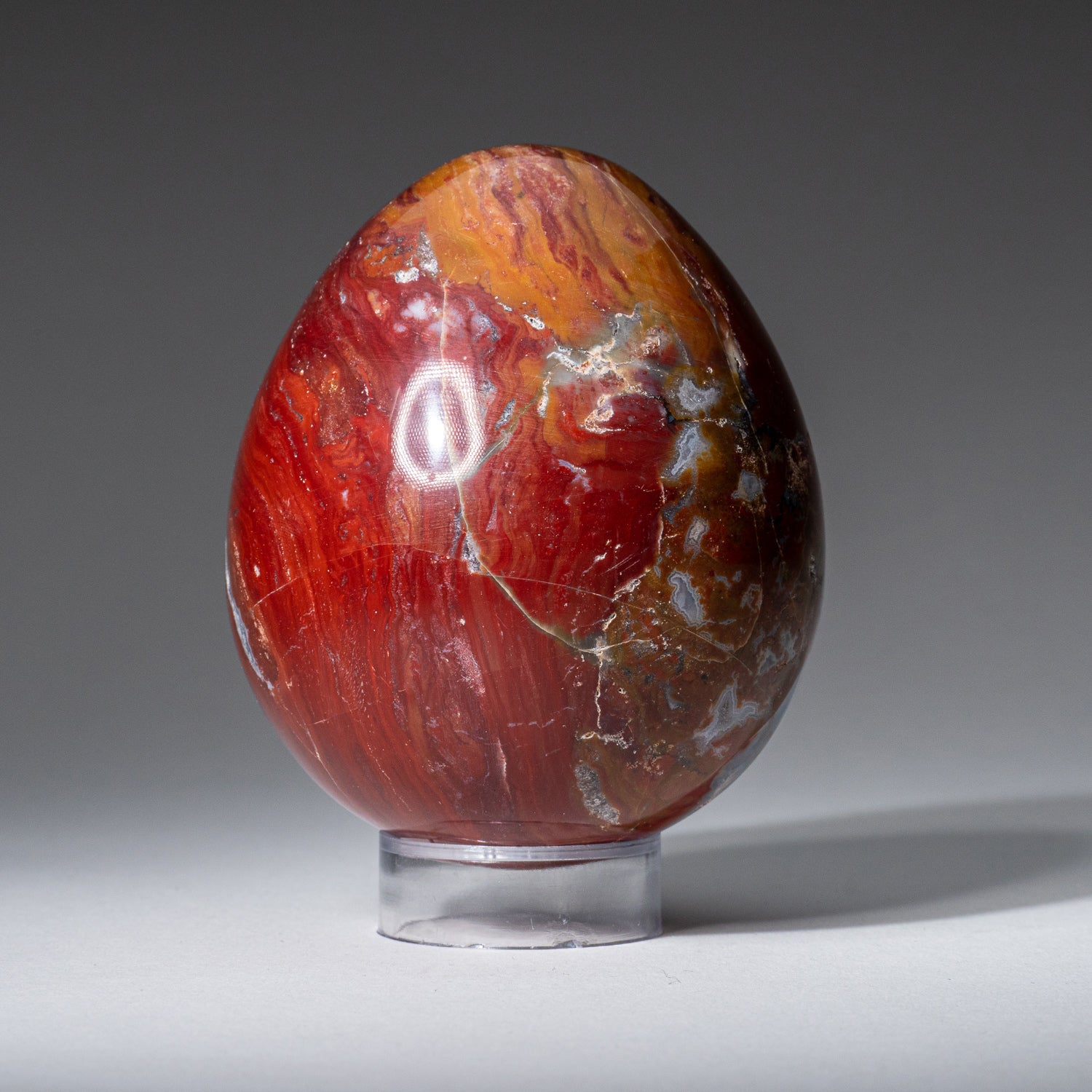 Genuine Polished Red Jasper (3") Egg from Madagascar