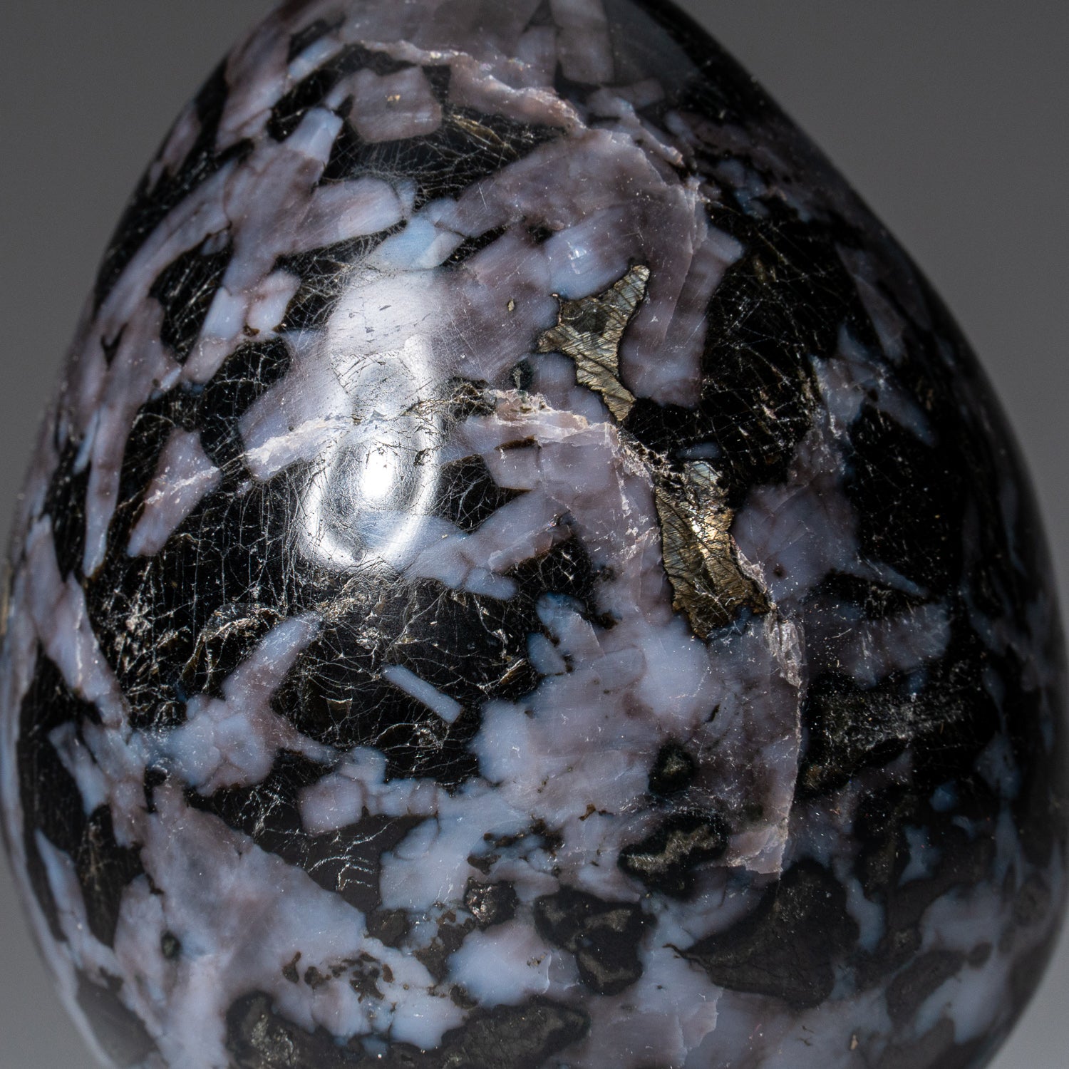Genuine Polished Indigo Gabbro (3") Egg from Madagascar