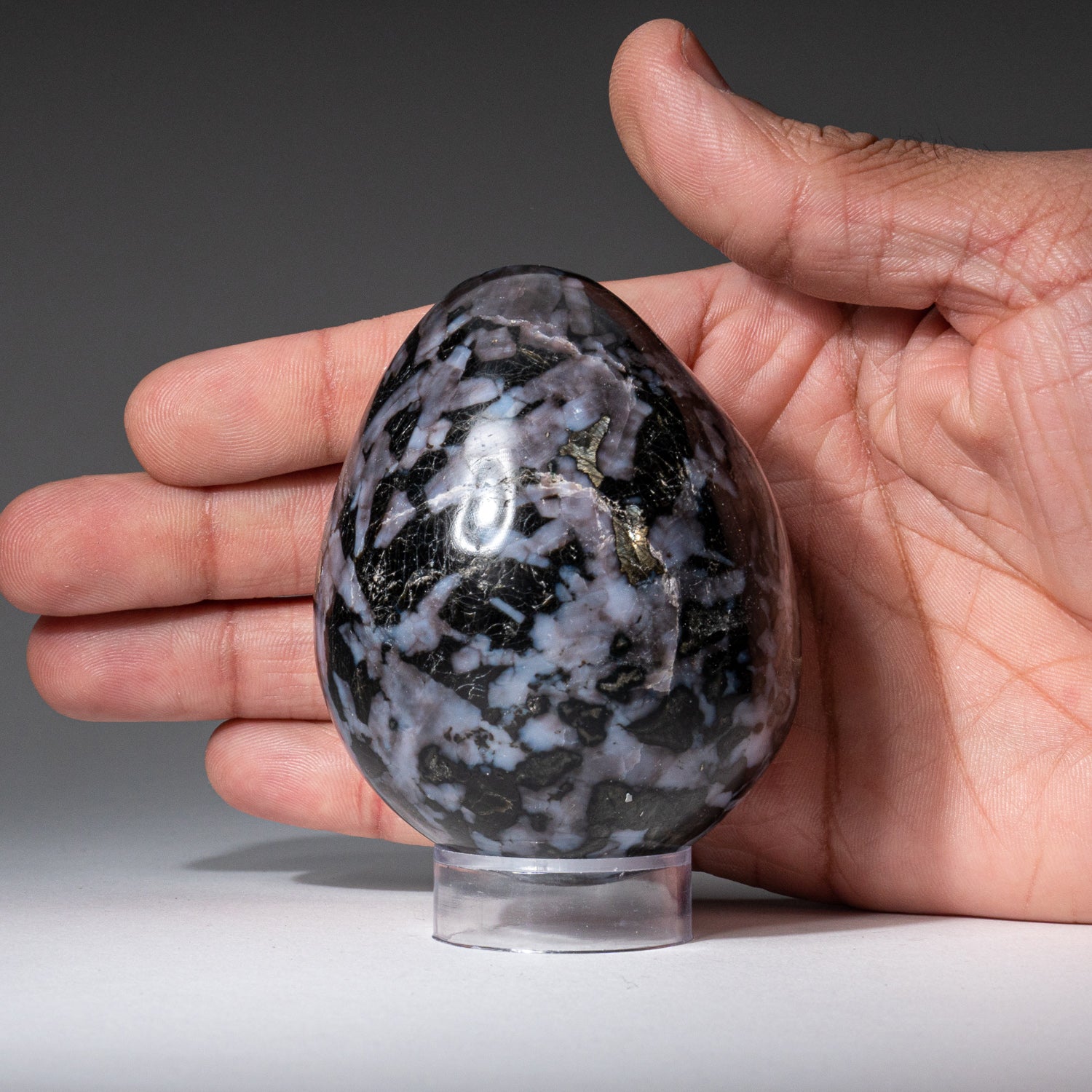 Genuine Polished Indigo Gabbro (3") Egg from Madagascar