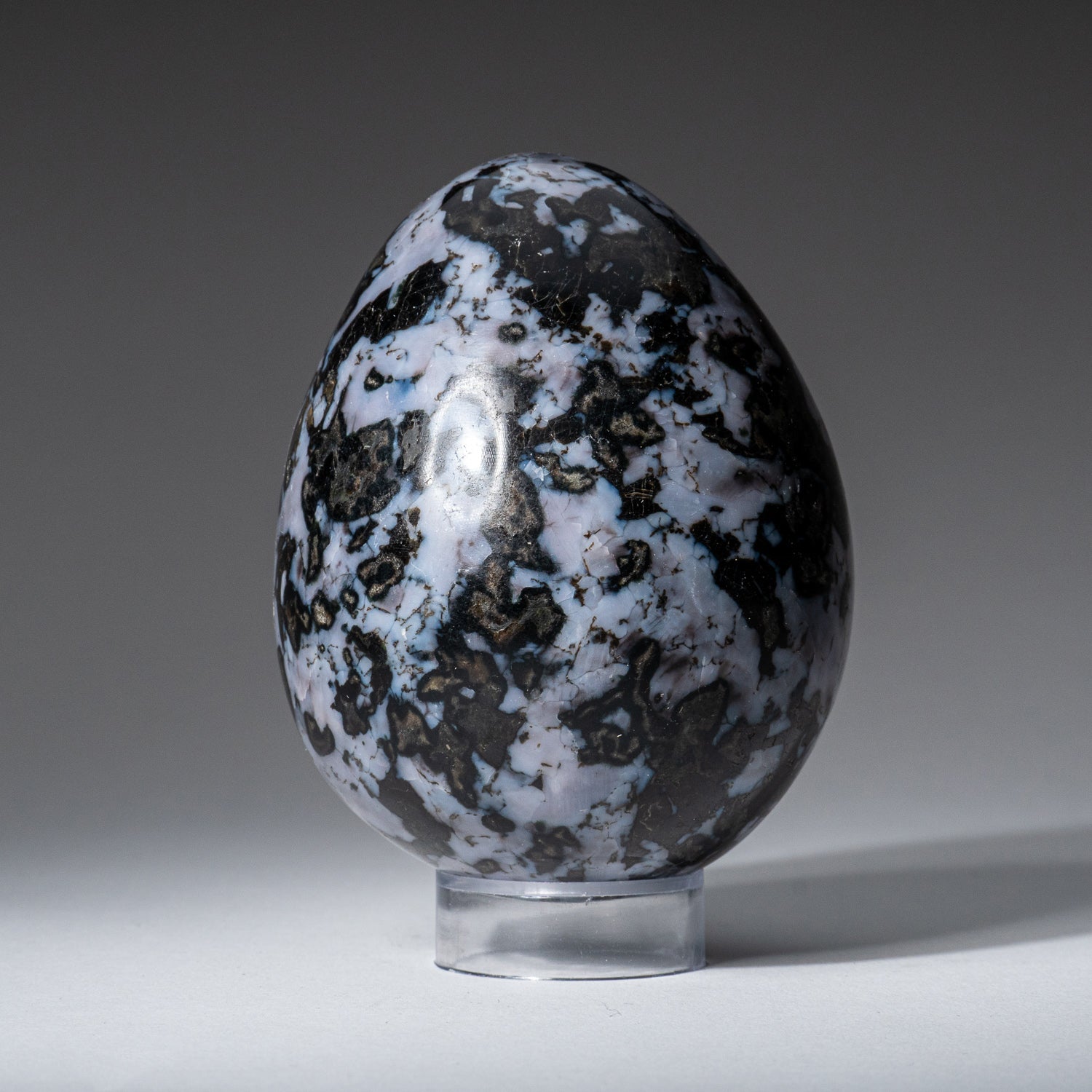 Genuine Polished Indigo Gabbro (3.5") Egg from Madagascar