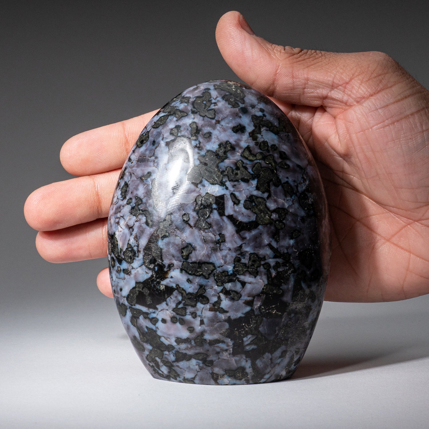 Genuine Polished Indigo Gabbro (Medium) Freeform from Madagascar