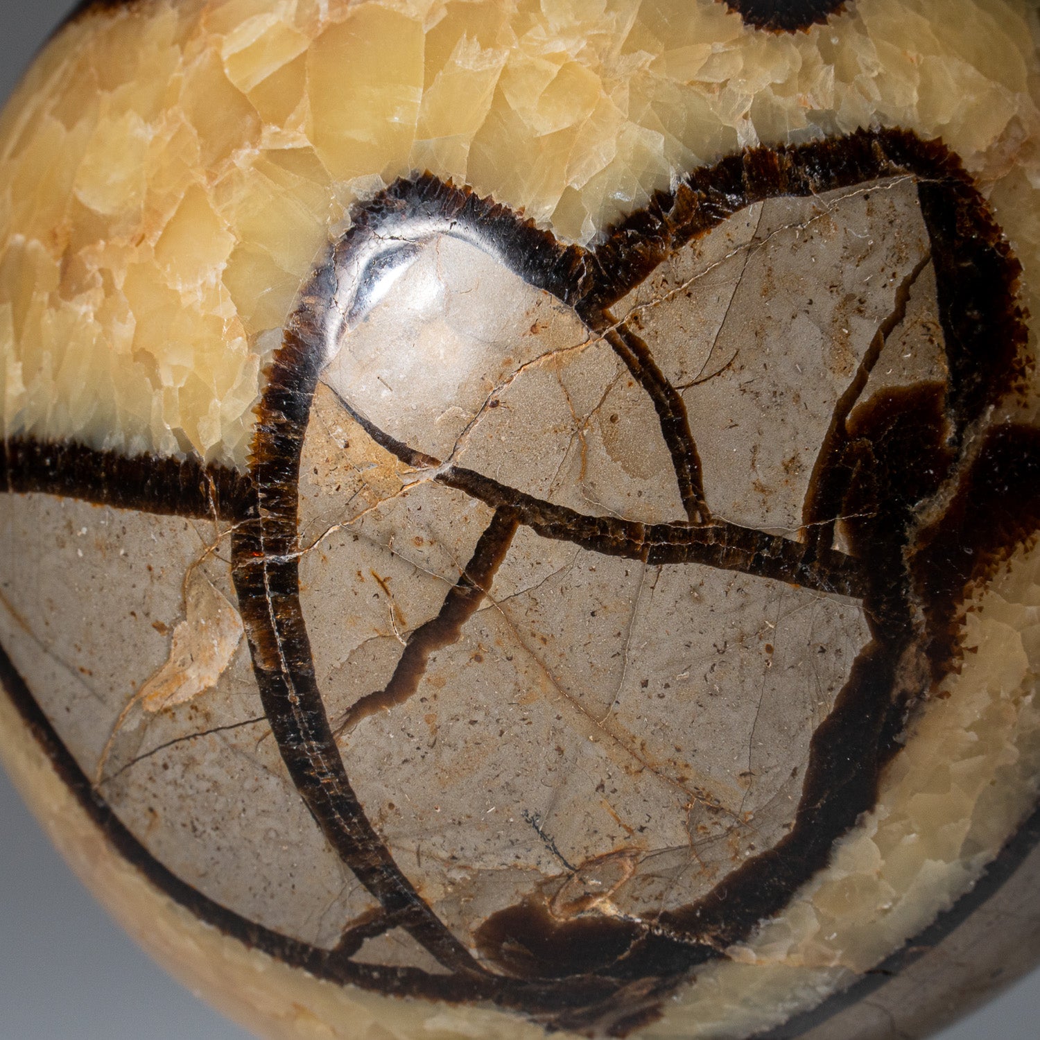 Genuine Polished Septarian Sphere from Madagascar (2.8 lbs)