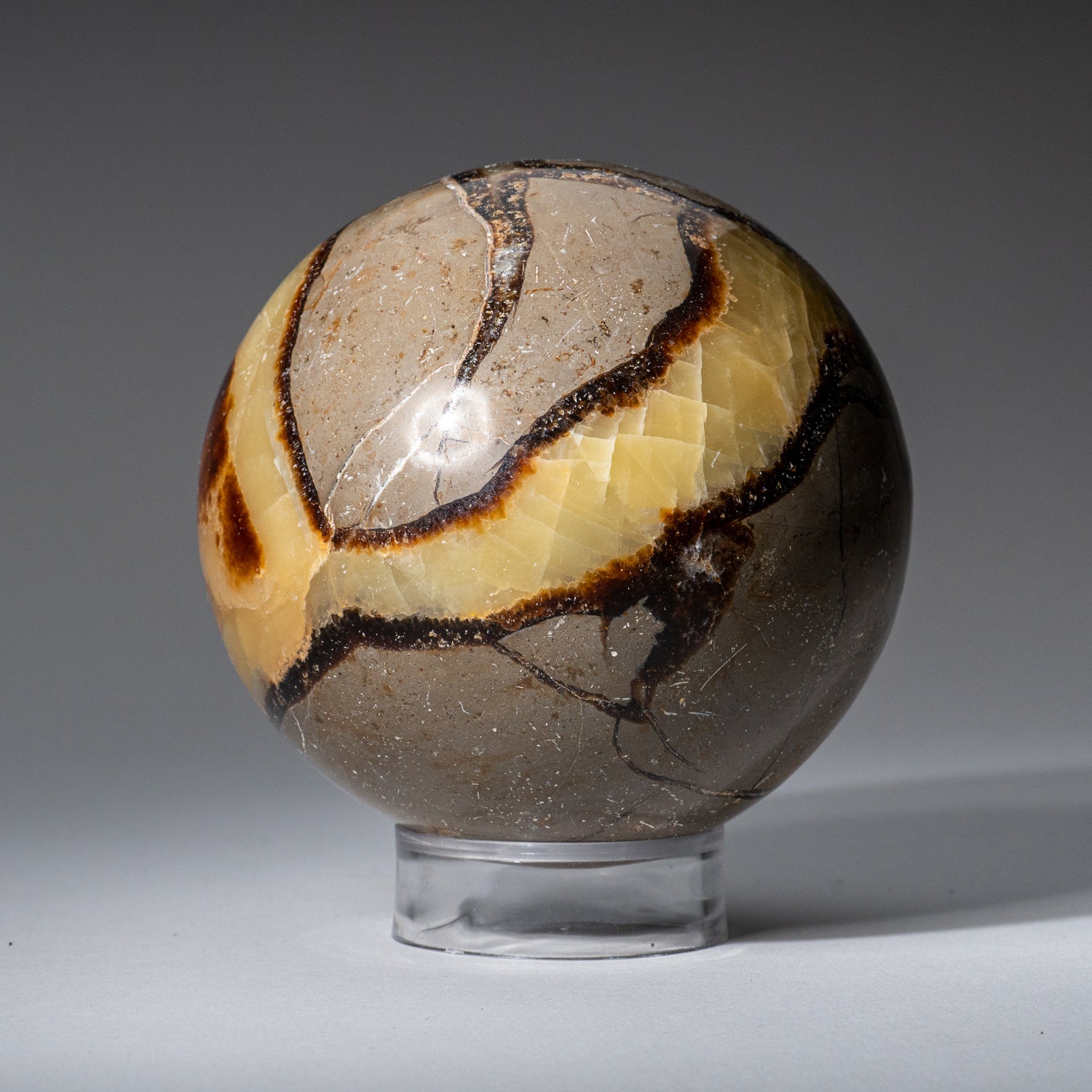 Genuine Polished Septarian Sphere from Madagascar (2.5 lbs)