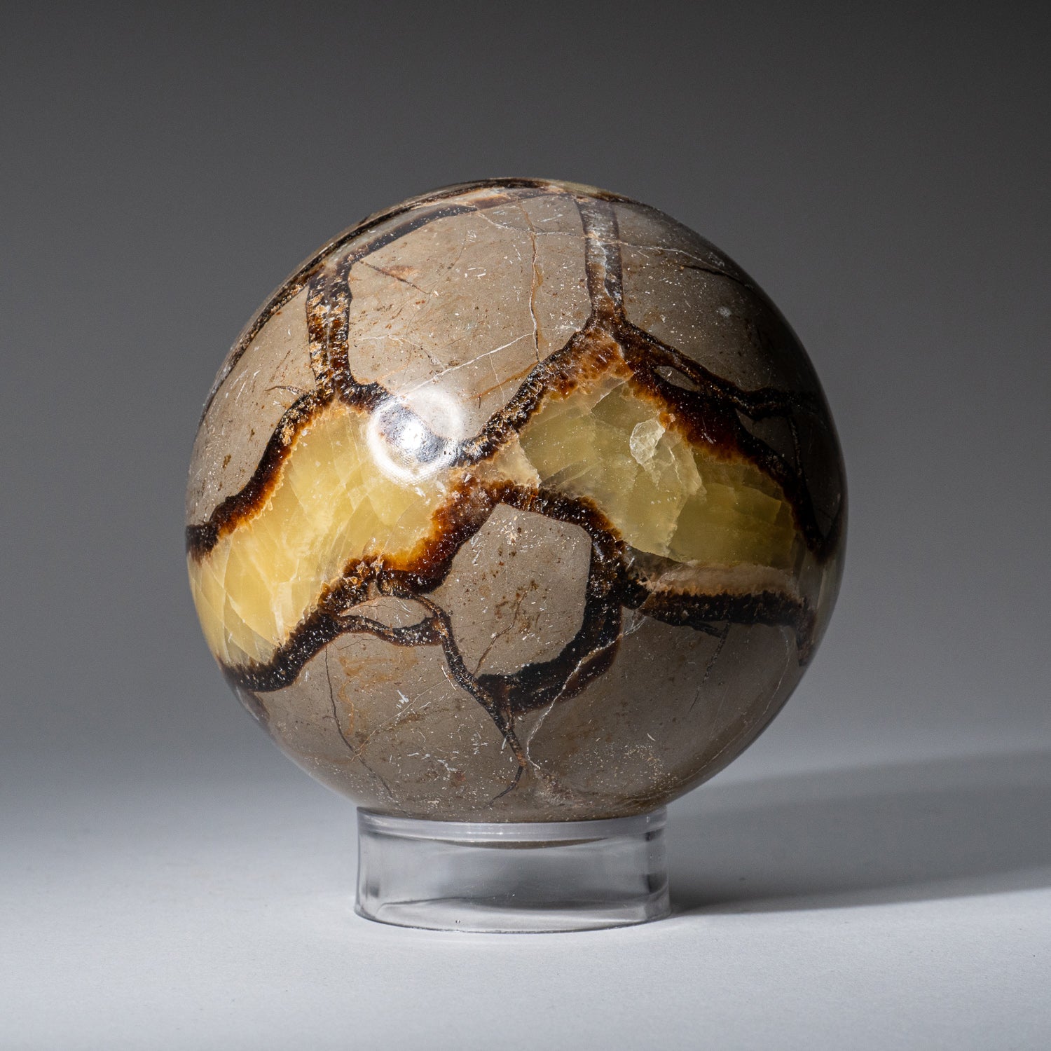 Genuine Polished Septarian Sphere from Madagascar (2.5 lbs)