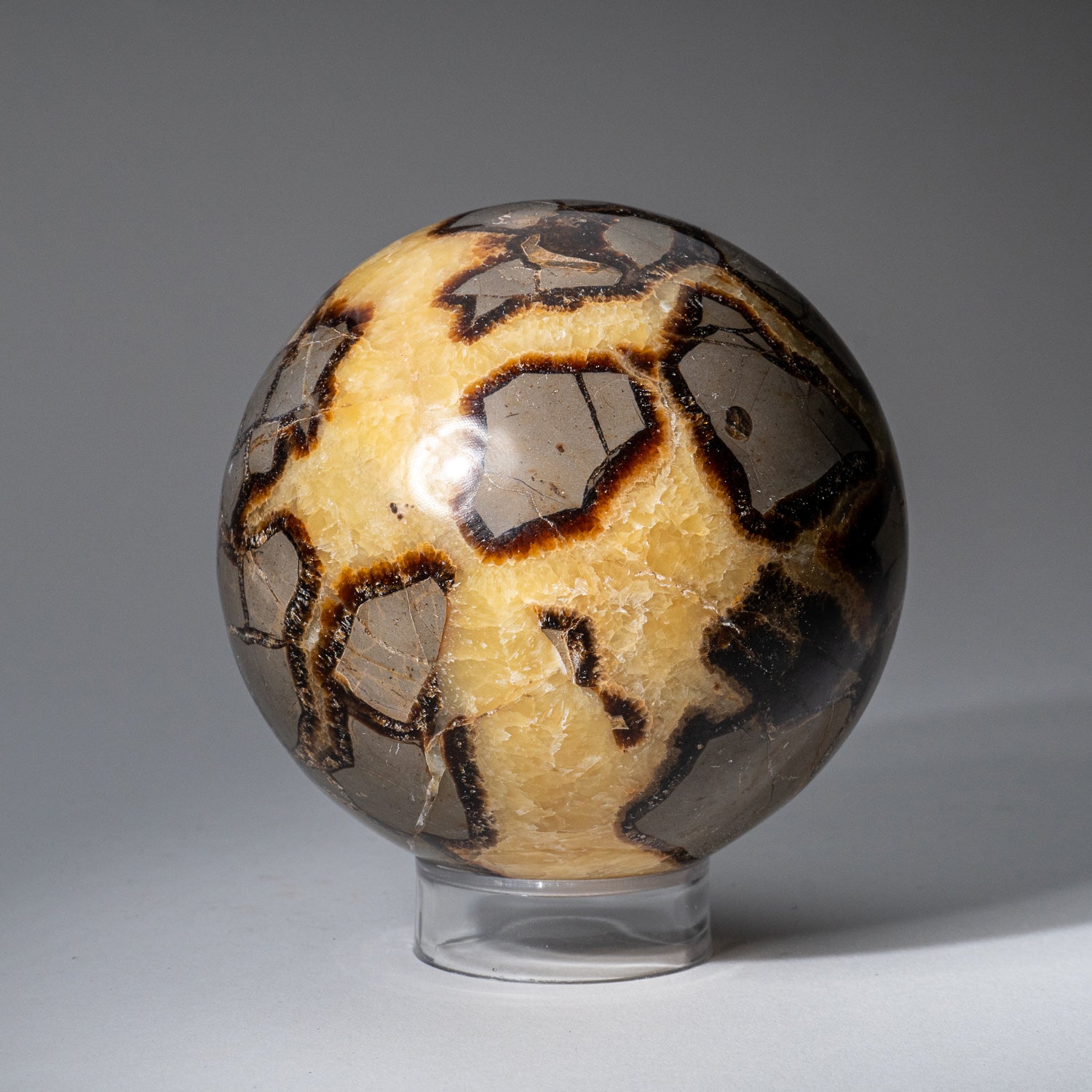 Polished Septarian Sphere from Madagascar (3.2 lbs)