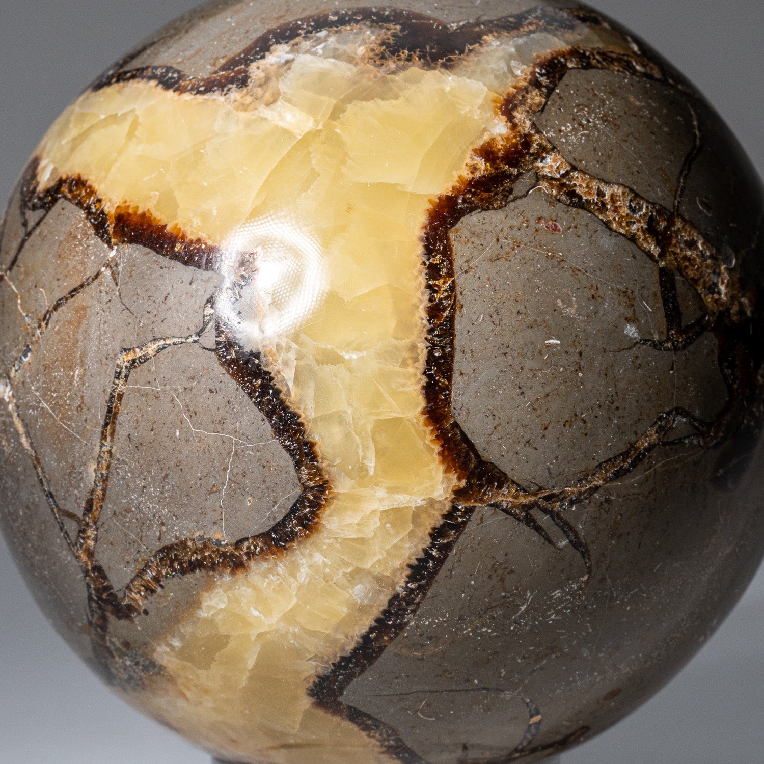 Genuine Polished Septarian Sphere from Madagascar (3.4 lbs)