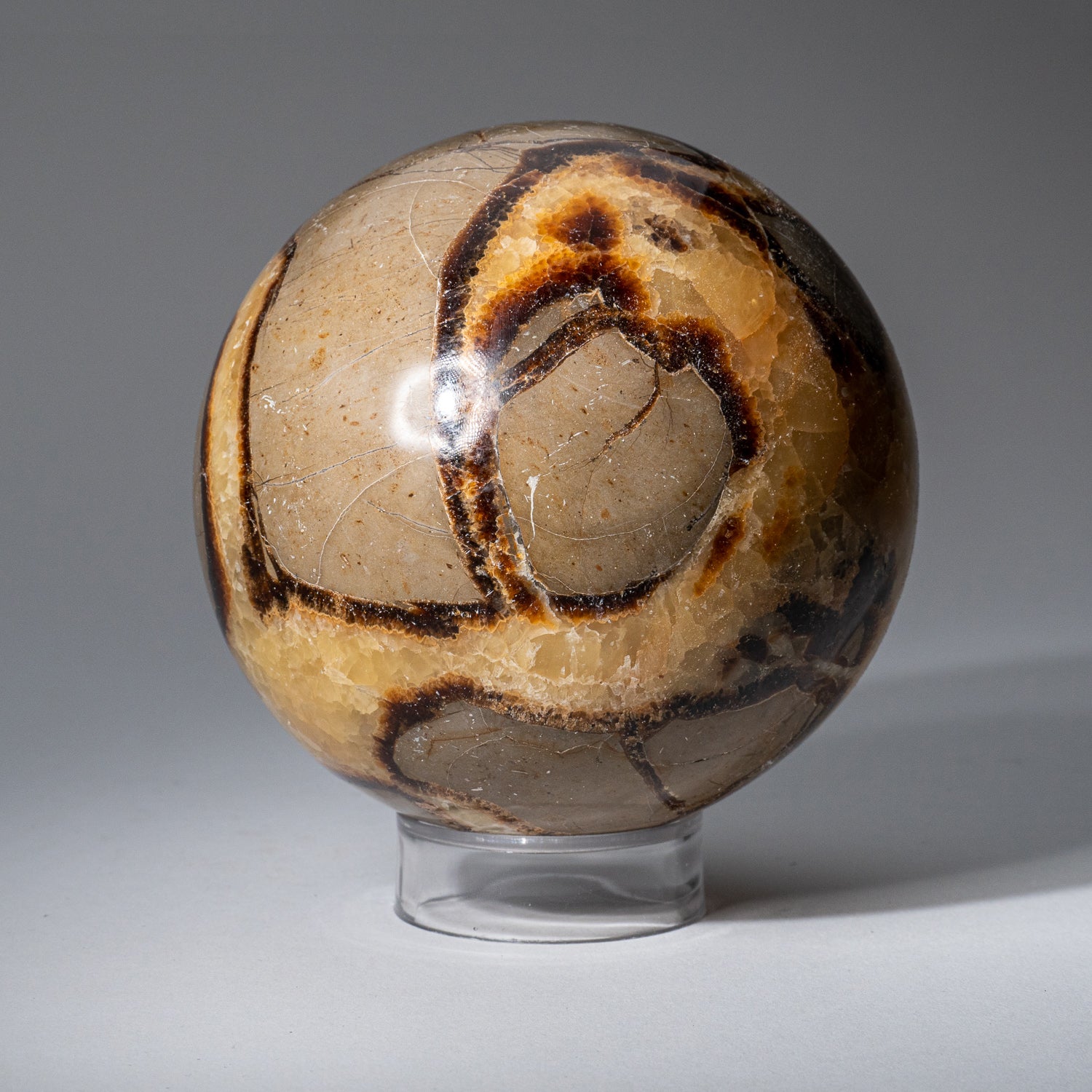 Genuine Polished Septarian Sphere from Madagascar (3.2 lbs)