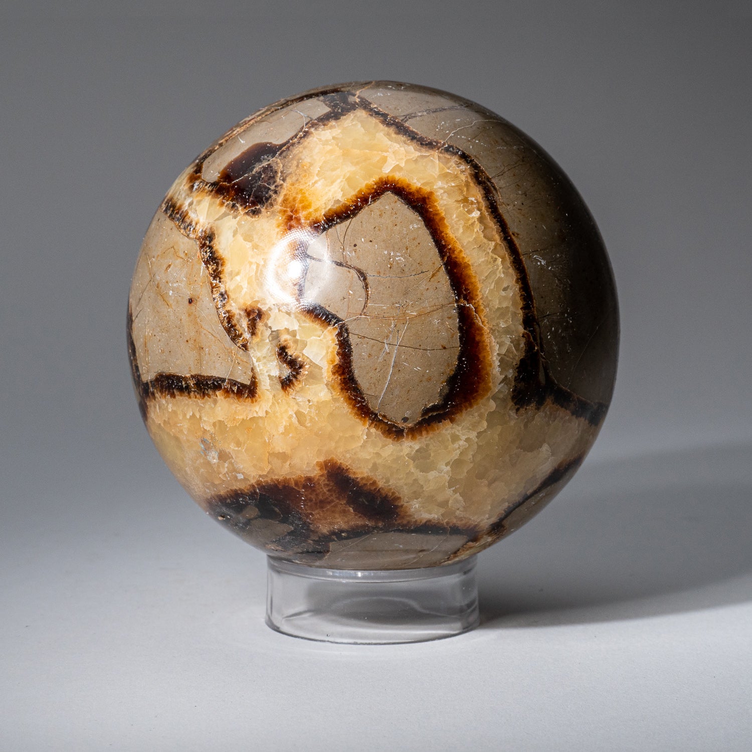 Genuine Polished Septarian Sphere from Madagascar (3.2 lbs)