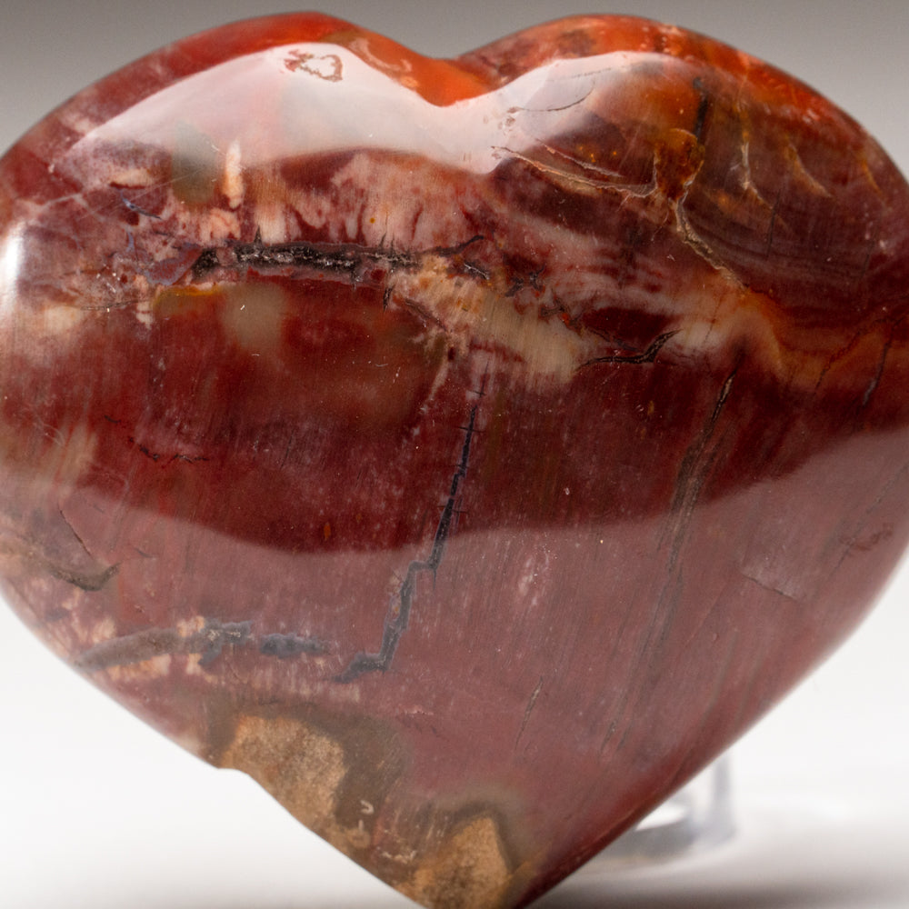 Petrified Wood Heart from Madagascar (191.2 grams)