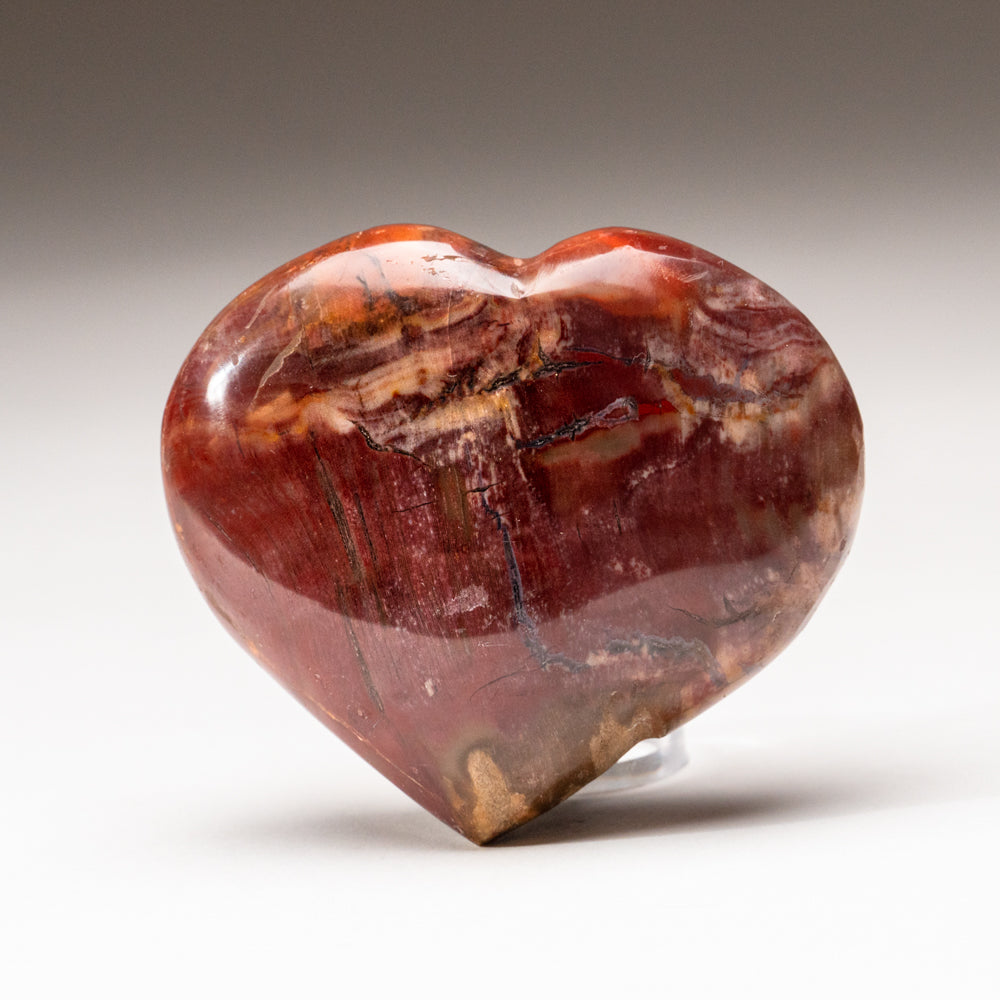 Petrified Wood Heart from Madagascar (191.2 grams)