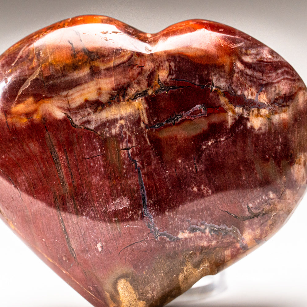 Petrified Wood Heart from Madagascar (191.2 grams)