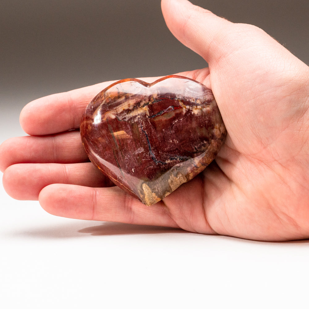 Petrified Wood Heart from Madagascar (191.2 grams)