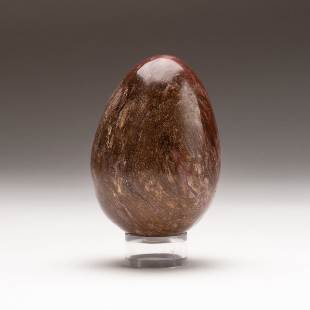Polished Petrified Wood Egg from Madagascar (277.8 grams)