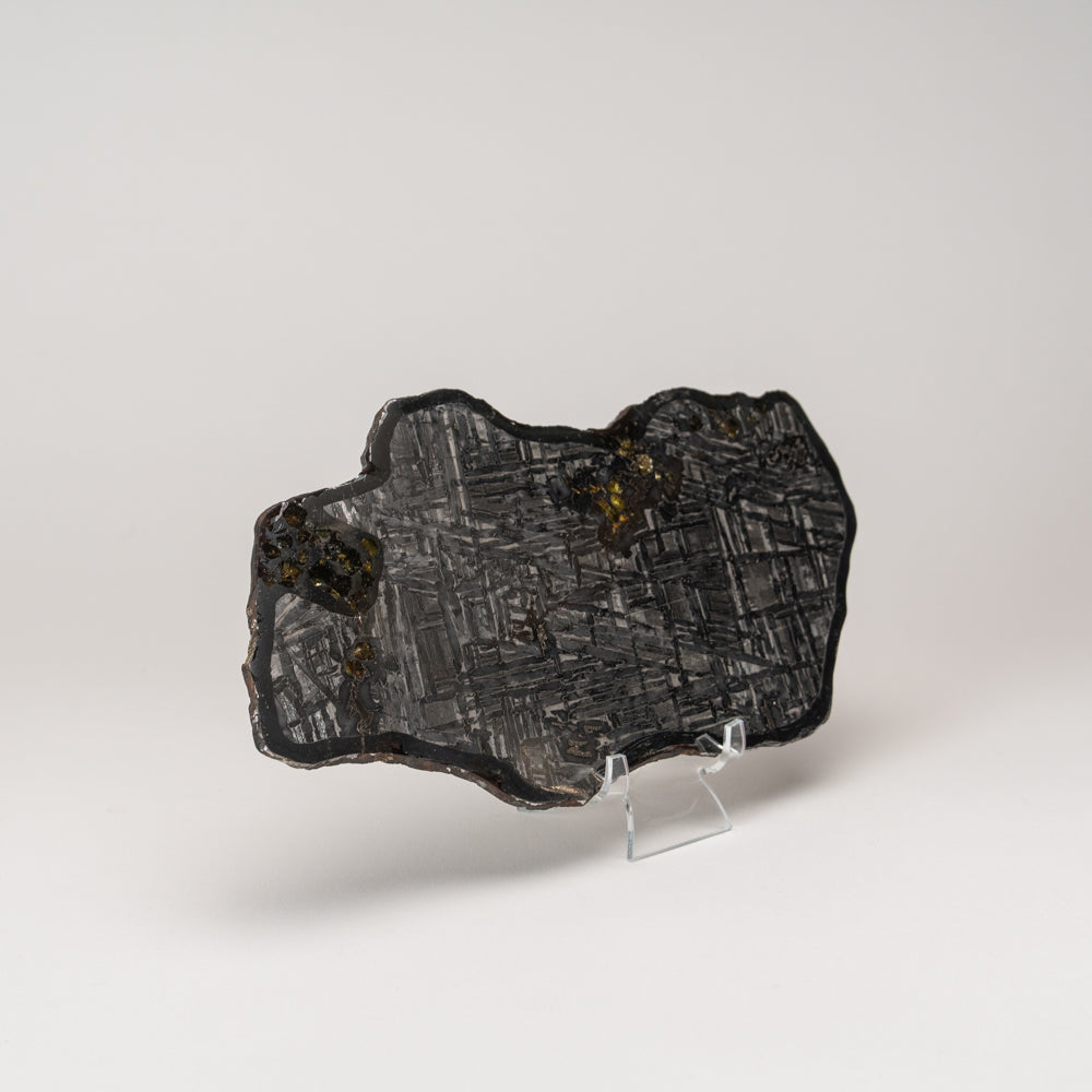 Seymchan Pallasite Meteorite Slab (705.8 grams)