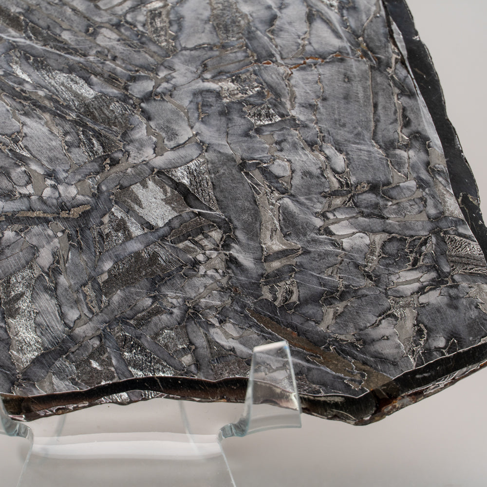 Seymchan Pallasite Meteorite Slab (163.6 grams)